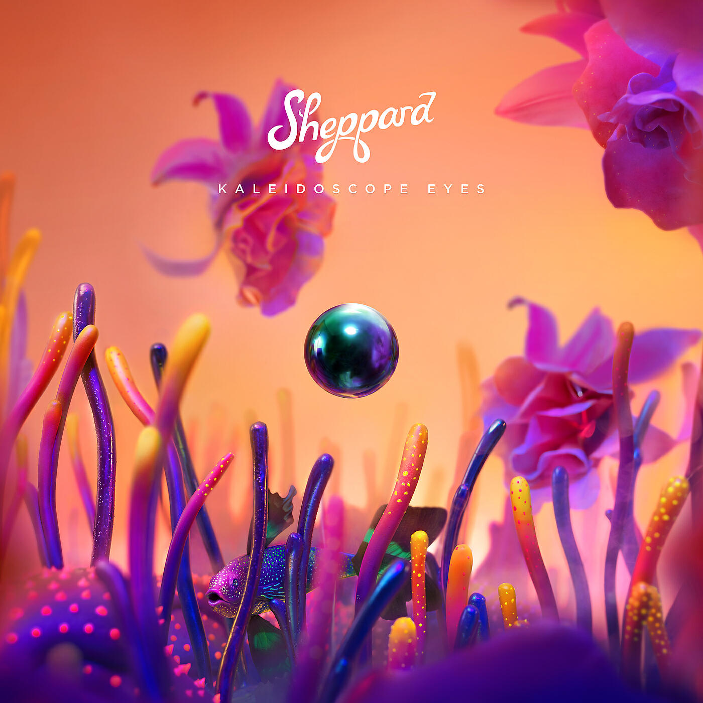 Sheppard - Looking For Love