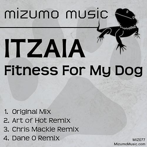 Itzaia - Fitness For My Dog (Art of Hot Remix)