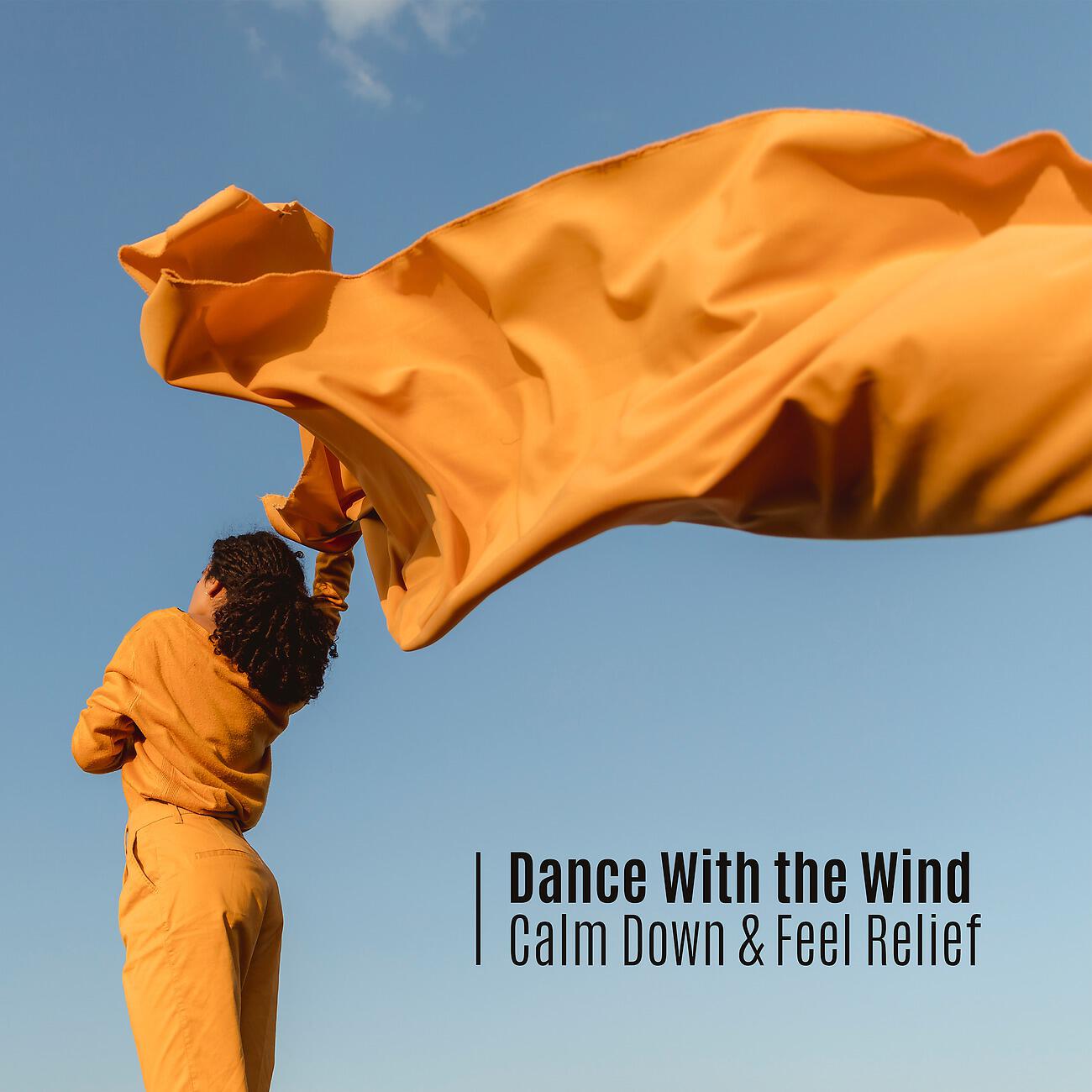 Stress Relief Calm Oasis - Dust in the Wind (Guitar, Chime)