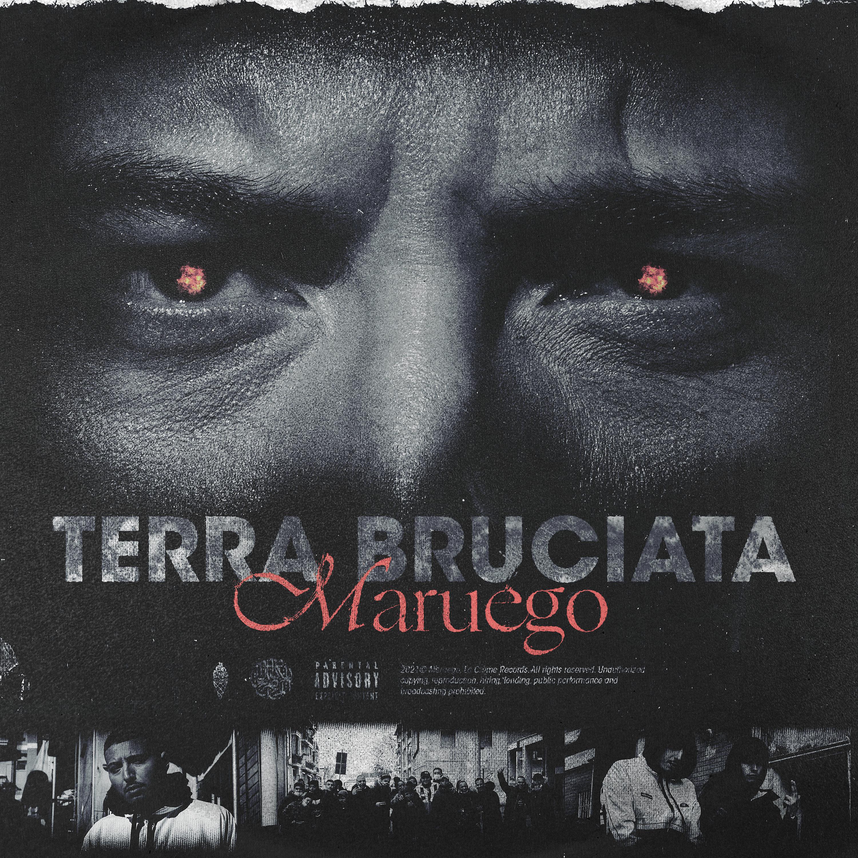 Постер альбома Terra Bruciata