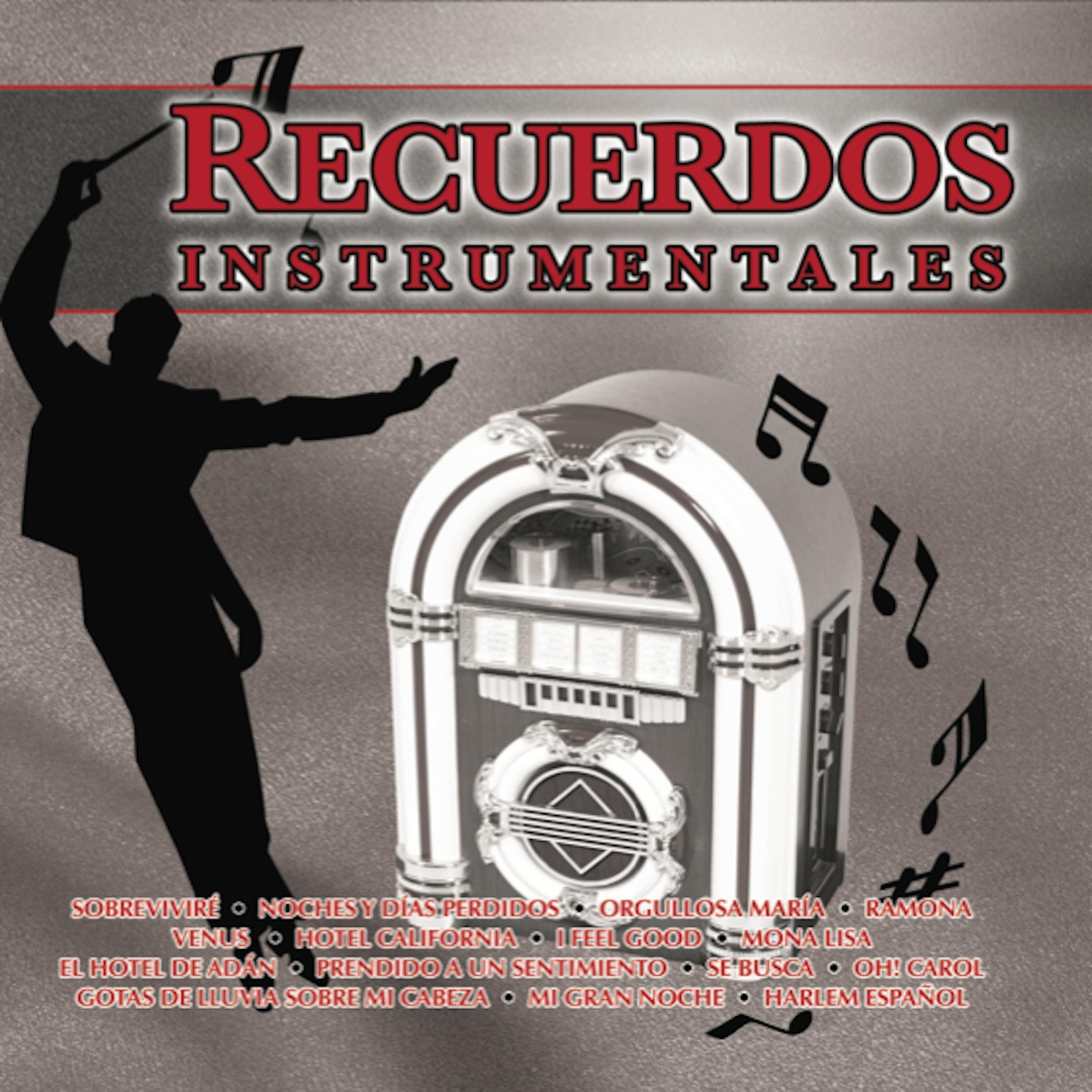 Постер альбома Recuerdos Instrumentales