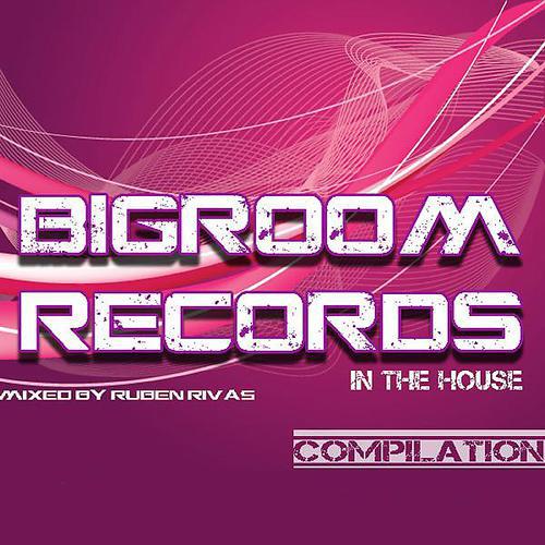 Постер альбома Big Room In The House Volume 1 WMC Edition