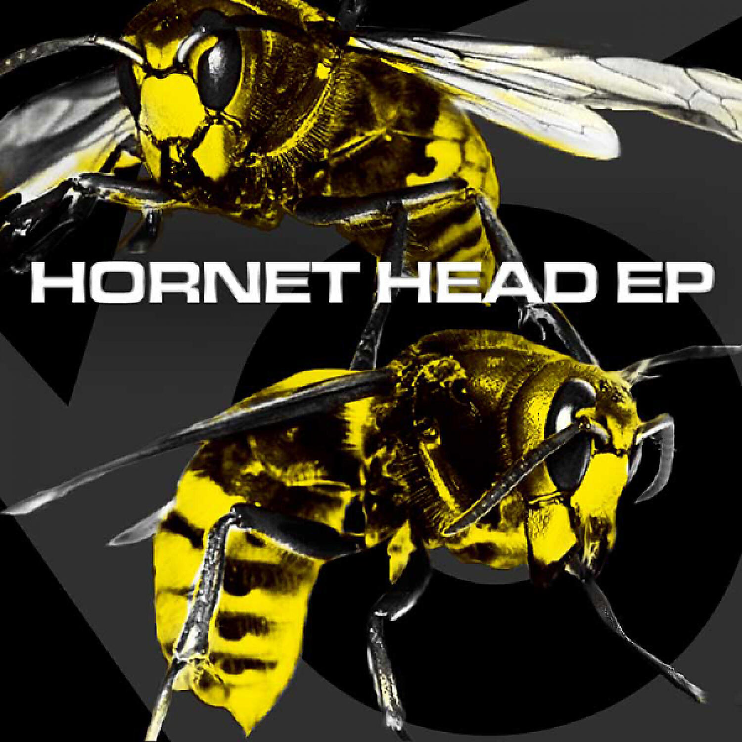 Rene LaVice - Hornet Head