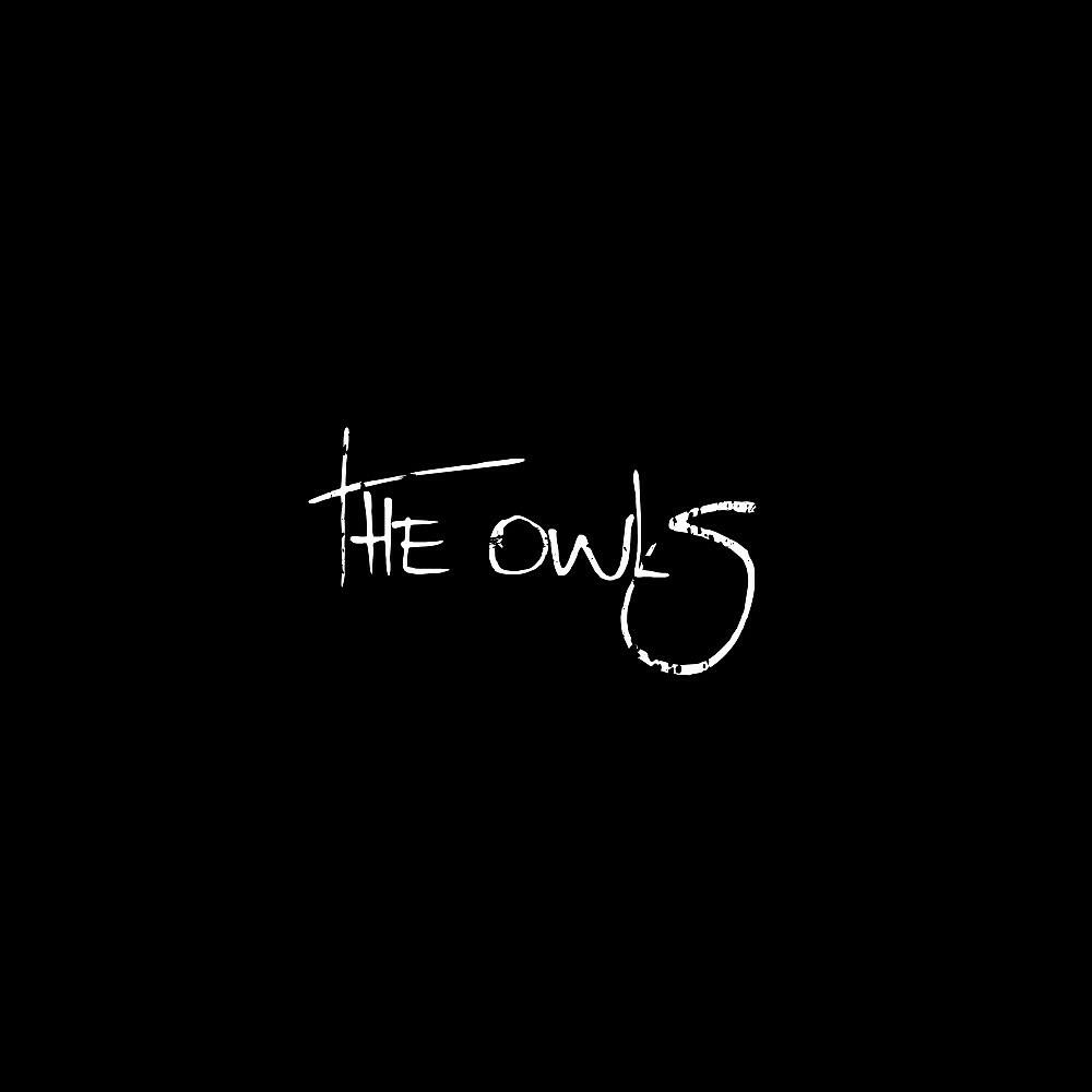 Bruno Schorp - The Owls
