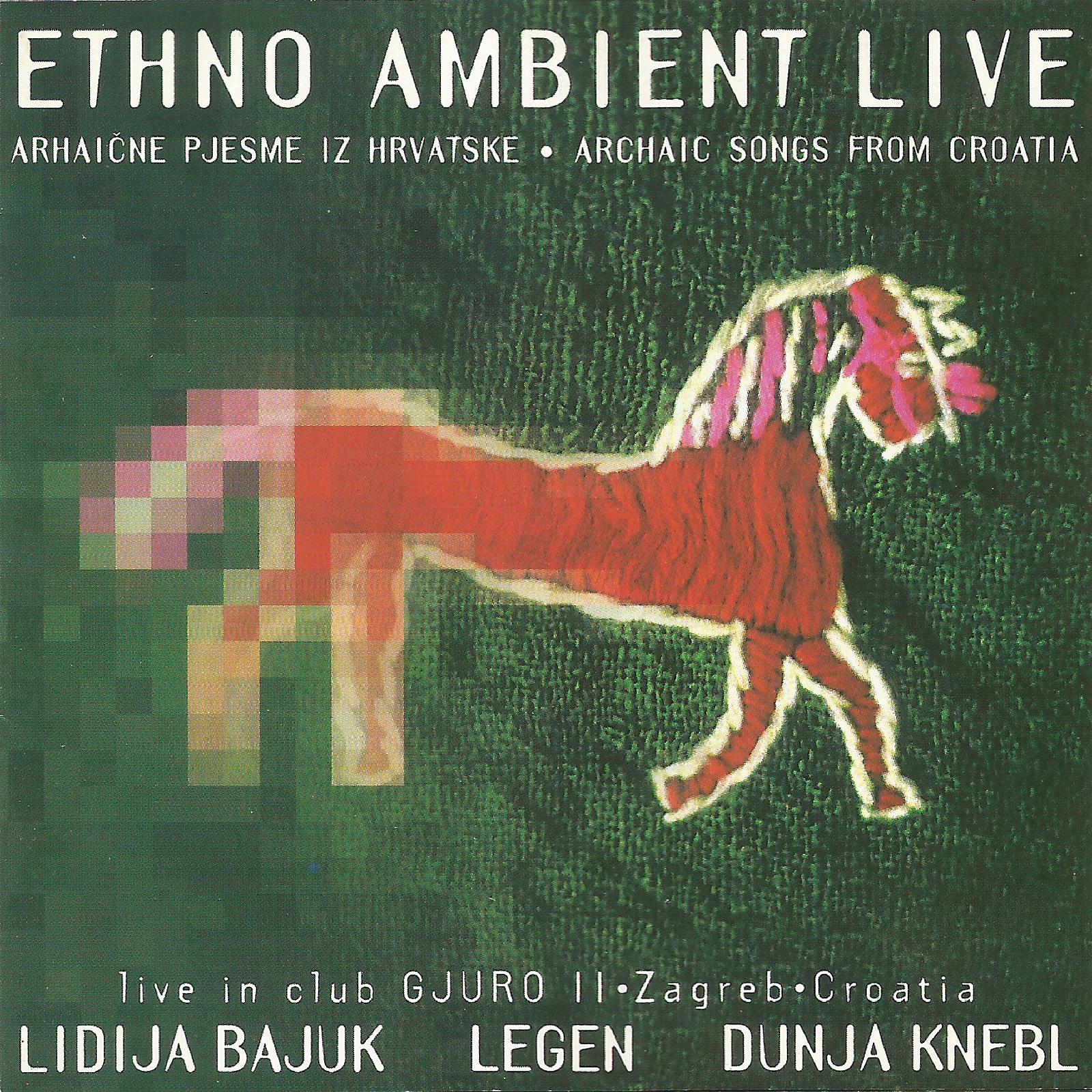 Постер альбома Ethno Ambient Live