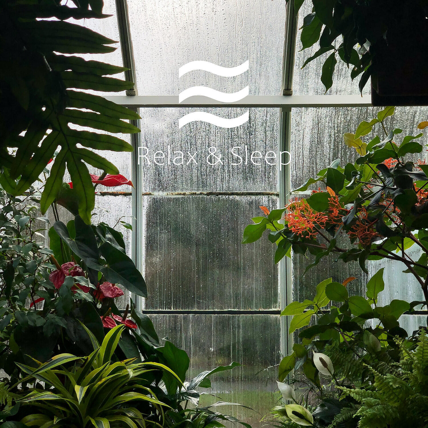 Composed Relaxation White Noisy Tones - Restful Womby Soothing White Noise