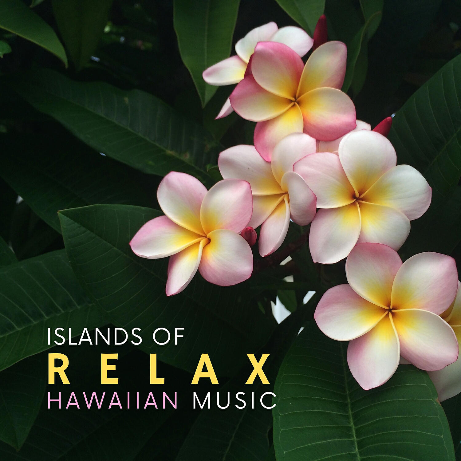 Chill Out Time Consort - Serene Beach