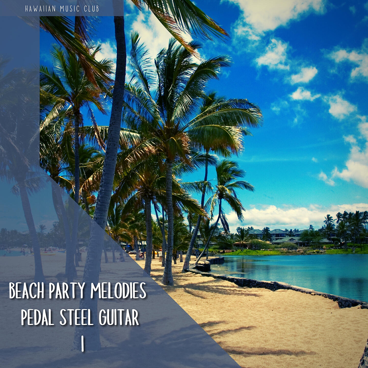 Hawaiian Music Club - Waikiki