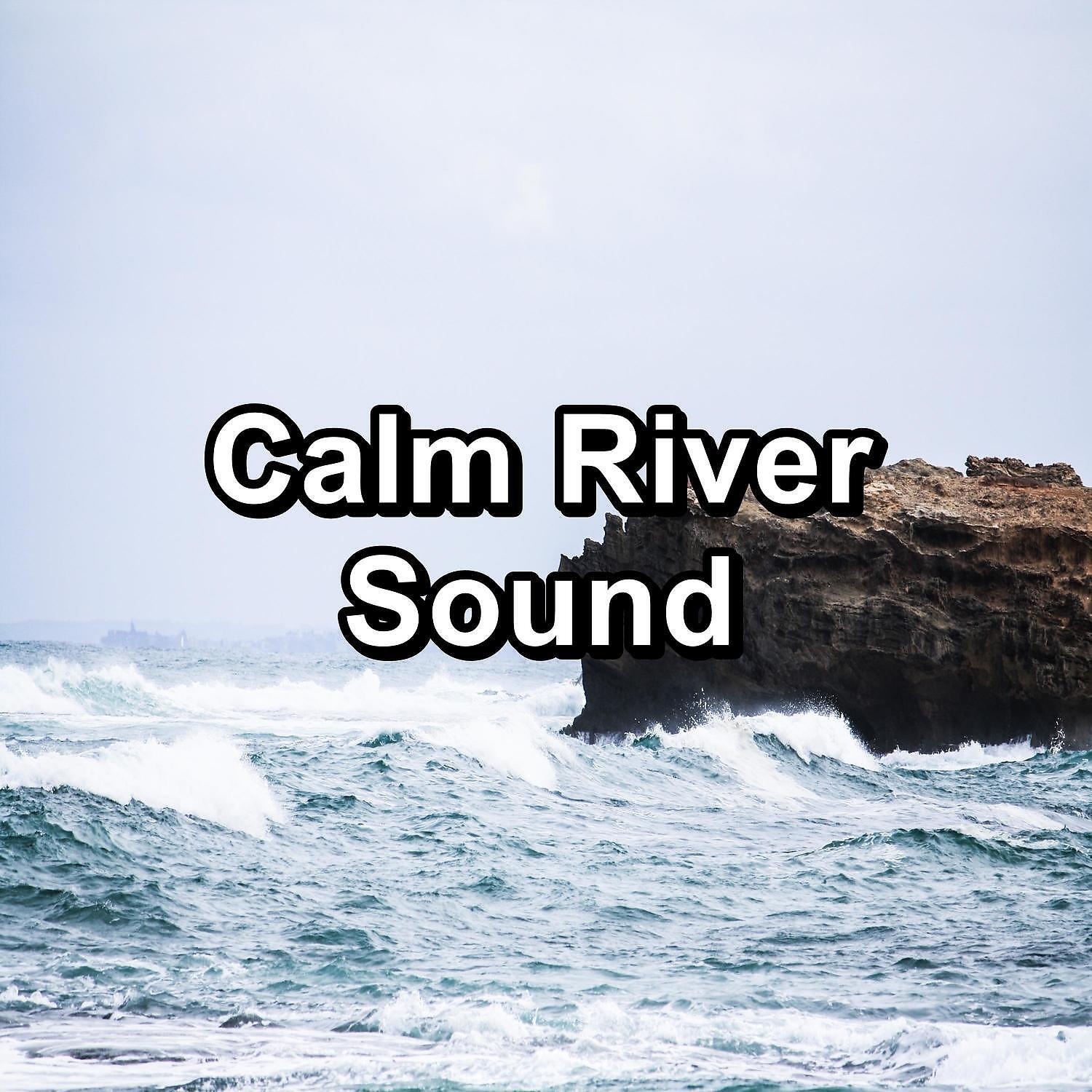 YOGA - Ocean and River Sounds With Nature Music to Relief the Night