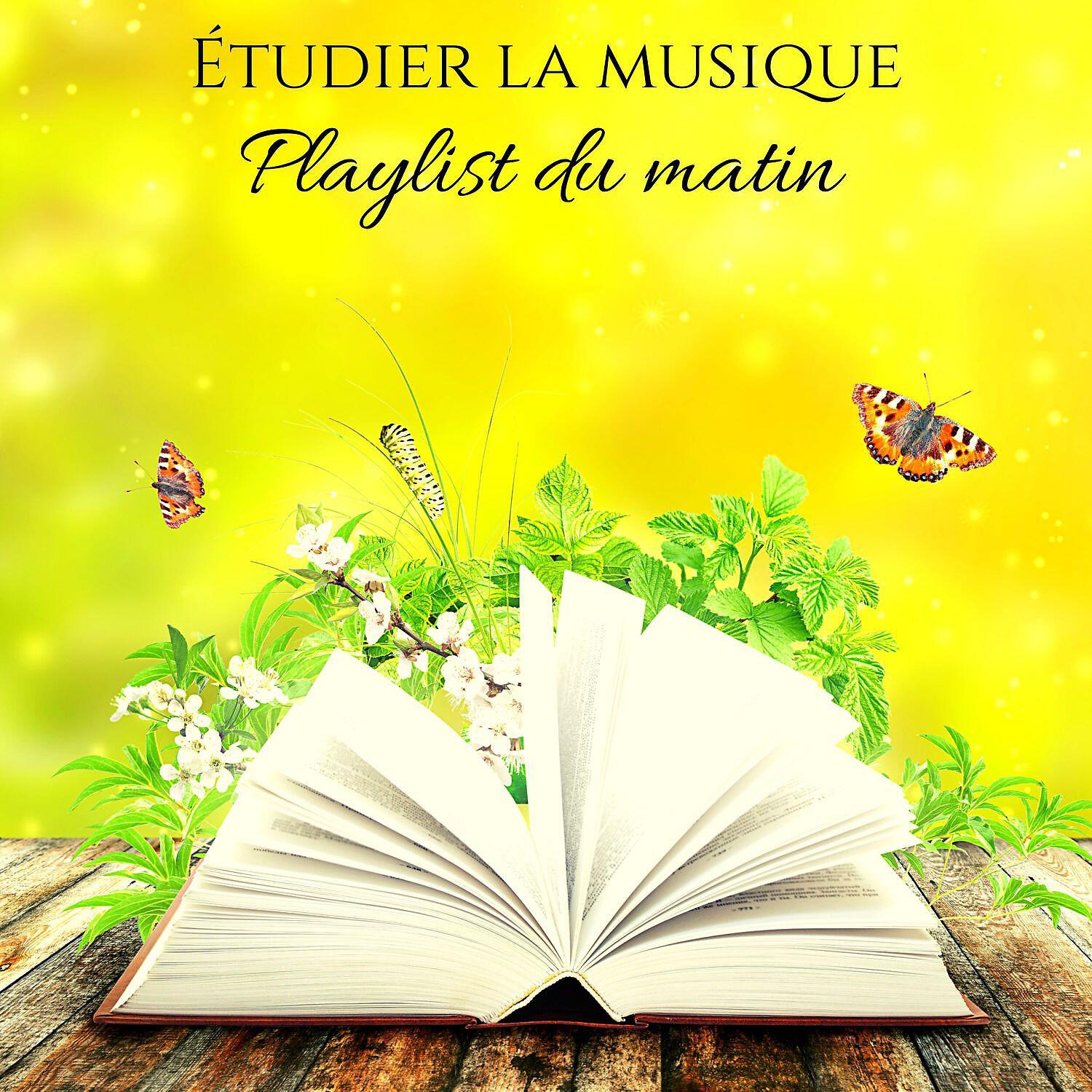 Exam Study Background Music Consort - Voyage magique