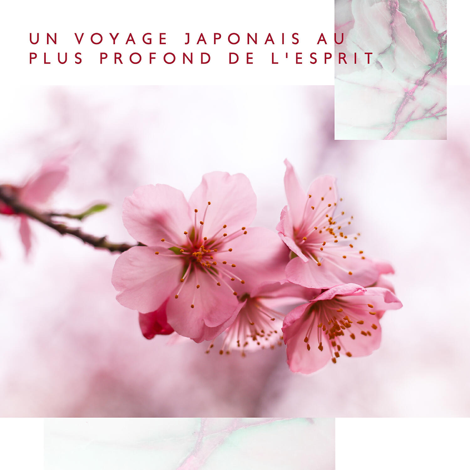 Relaxation Mentale - Bonne journée