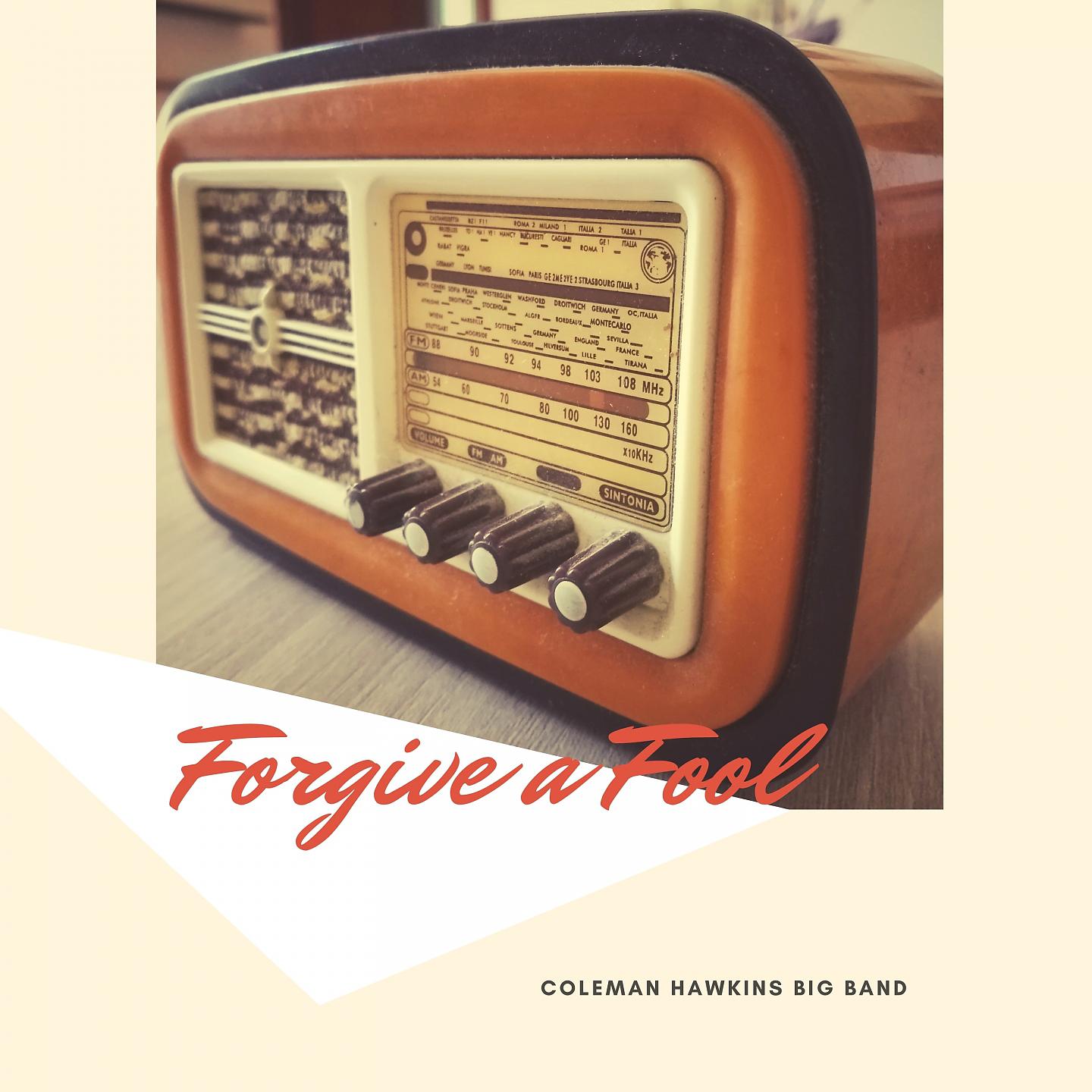 Постер альбома Forgive a Fool