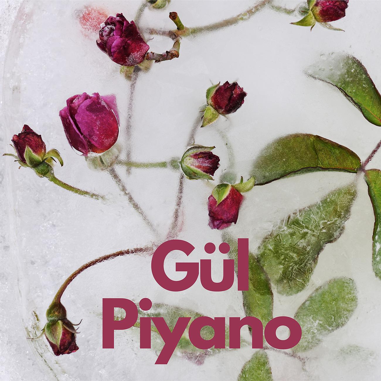 Постер альбома Gül Piyano