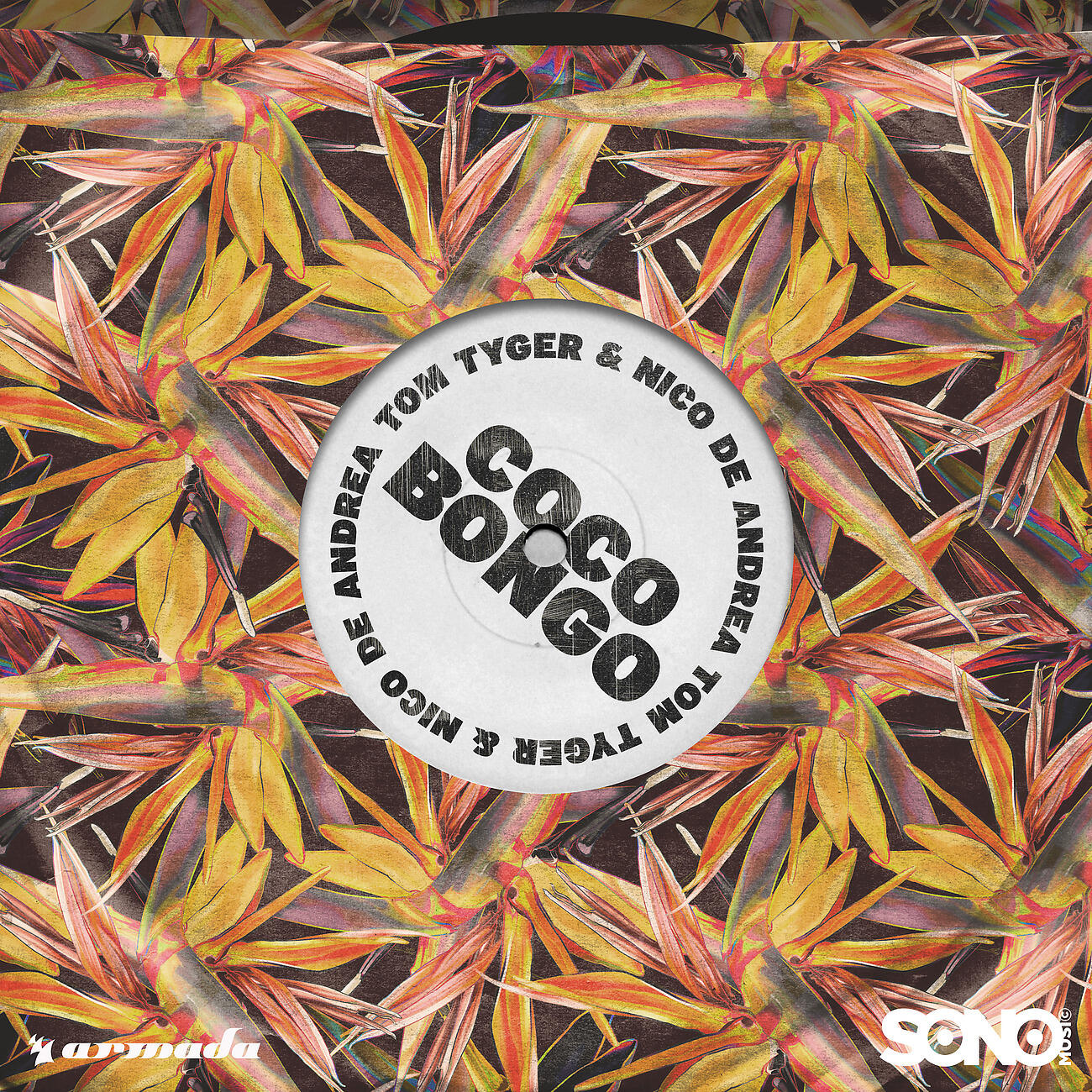 Tom Tyger - Coco Bongo