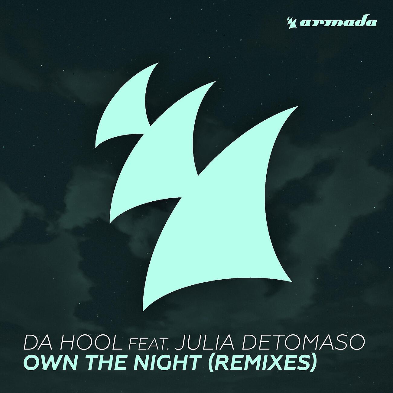 Da Hool - Own The Night (Cyborgs and Da Hool Remix)