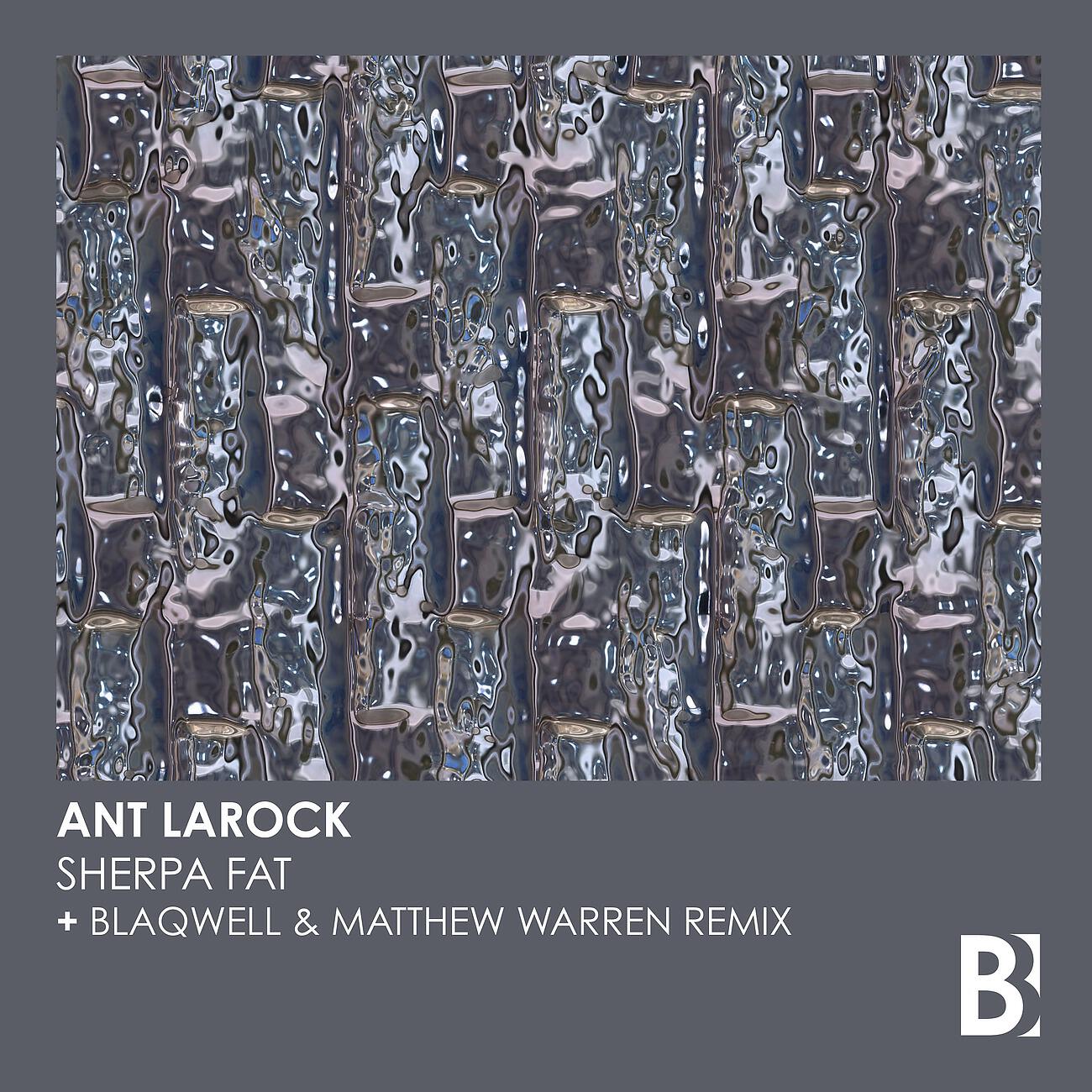 ANT LaROCK - Sherpa Fat (Blaqwell & Matthew Warren Extended Remix)