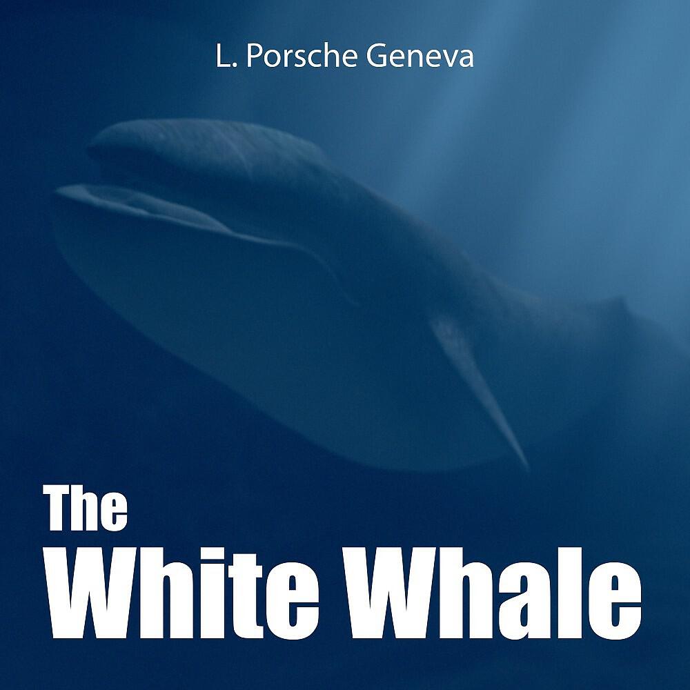 L.porsche - The White Whale