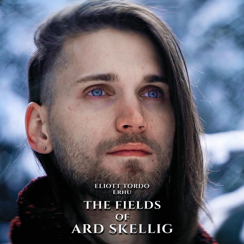 Постер альбома The Fields of Ard Skellig