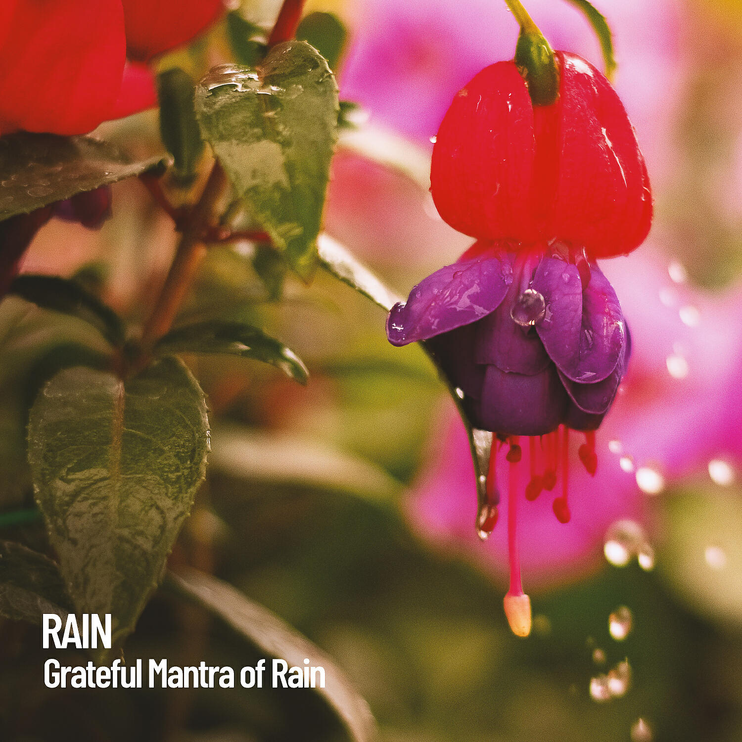 Sleeping Music - Sleeptime Rain