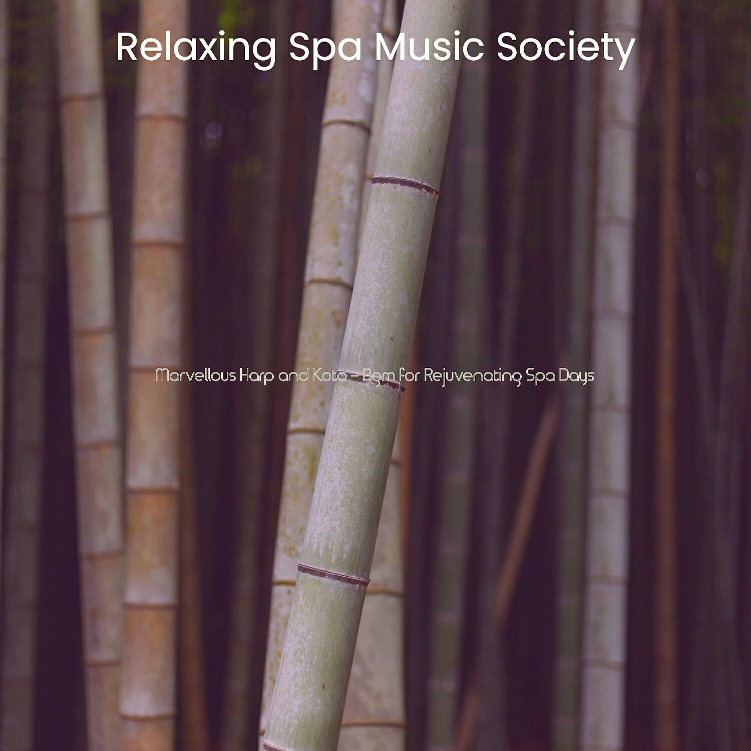 Relaxing Spa Music Society - Background for Rejuvenating Spa Days