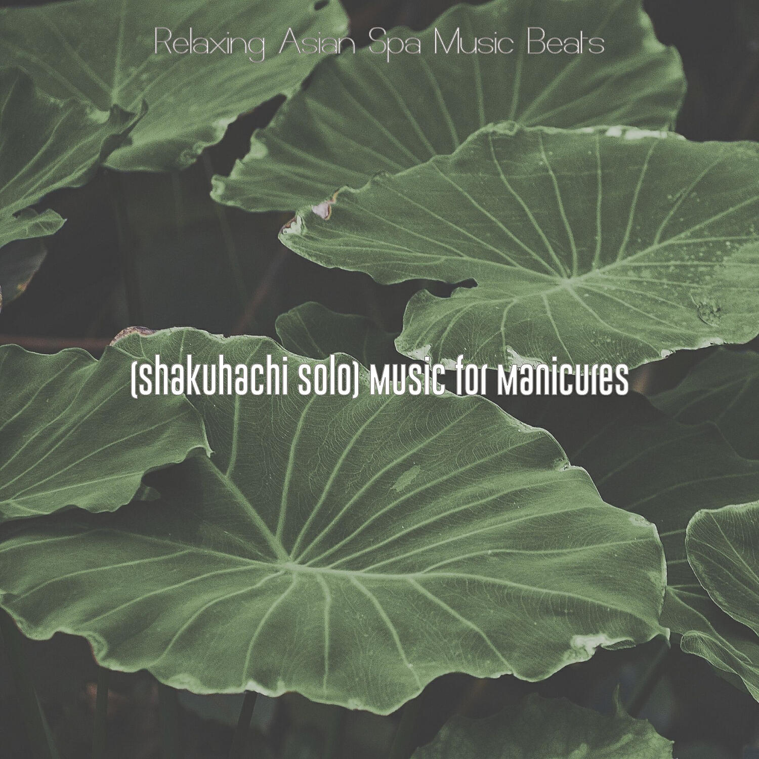 Relaxing Asian Spa Music Beats - Shakuhachi and Koto Soundtrack for Manicures