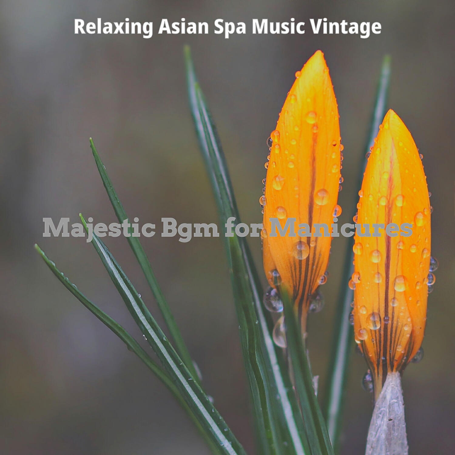 Relaxing Asian Spa Music Vintage - Subtle Backdrops for Facials