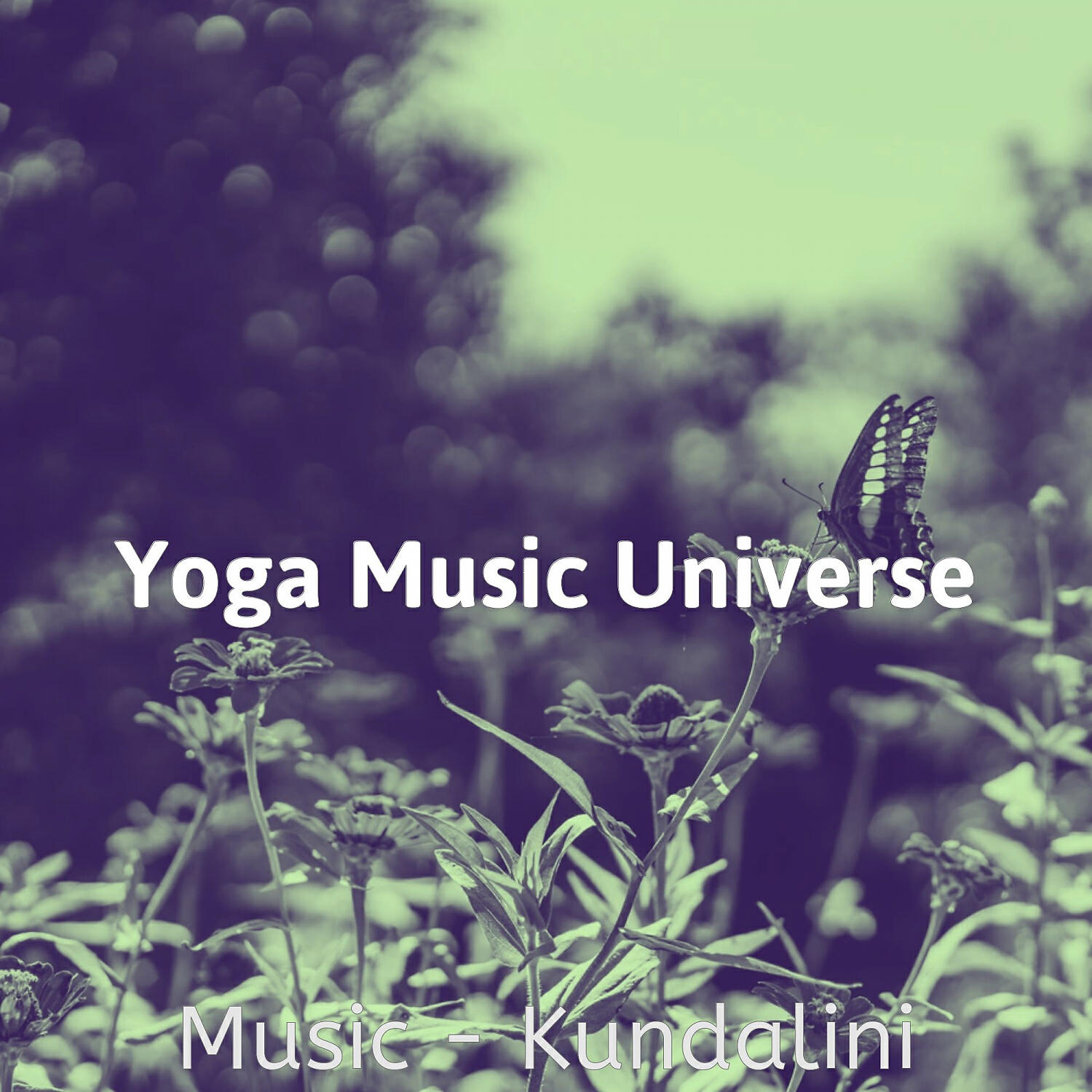 Yoga Music Universe - Ambience (Bikram Yoga)