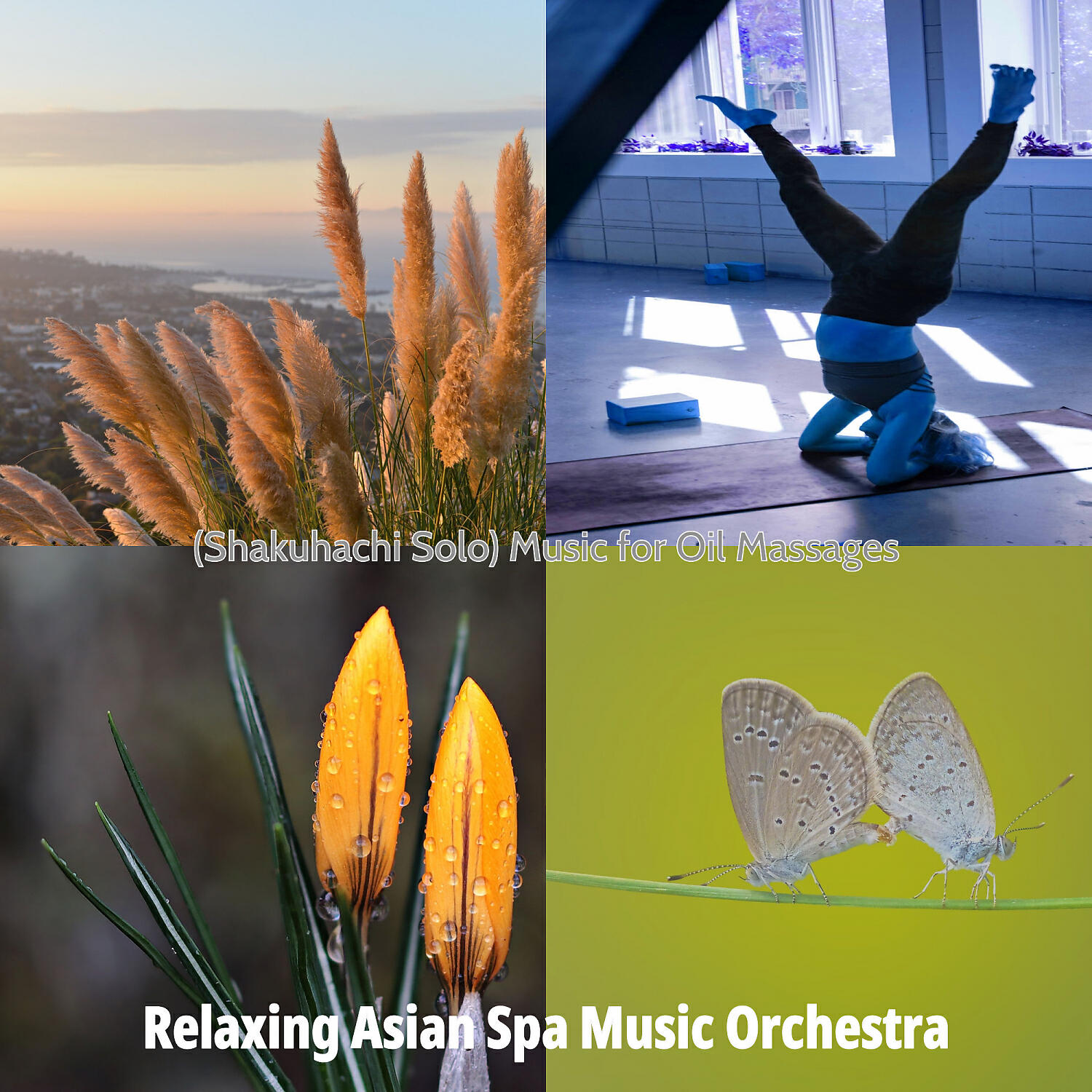 Relaxing Asian Spa Music Orchestra - Carefree Moods for Body Wraps