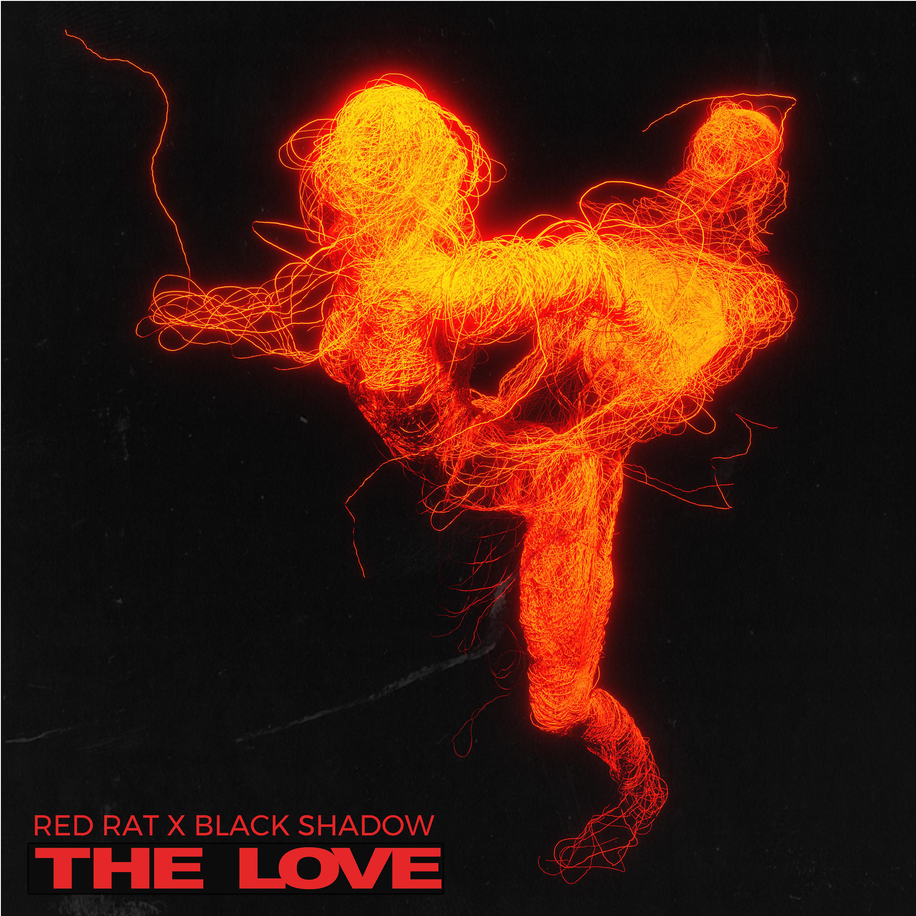 Постер альбома The Love