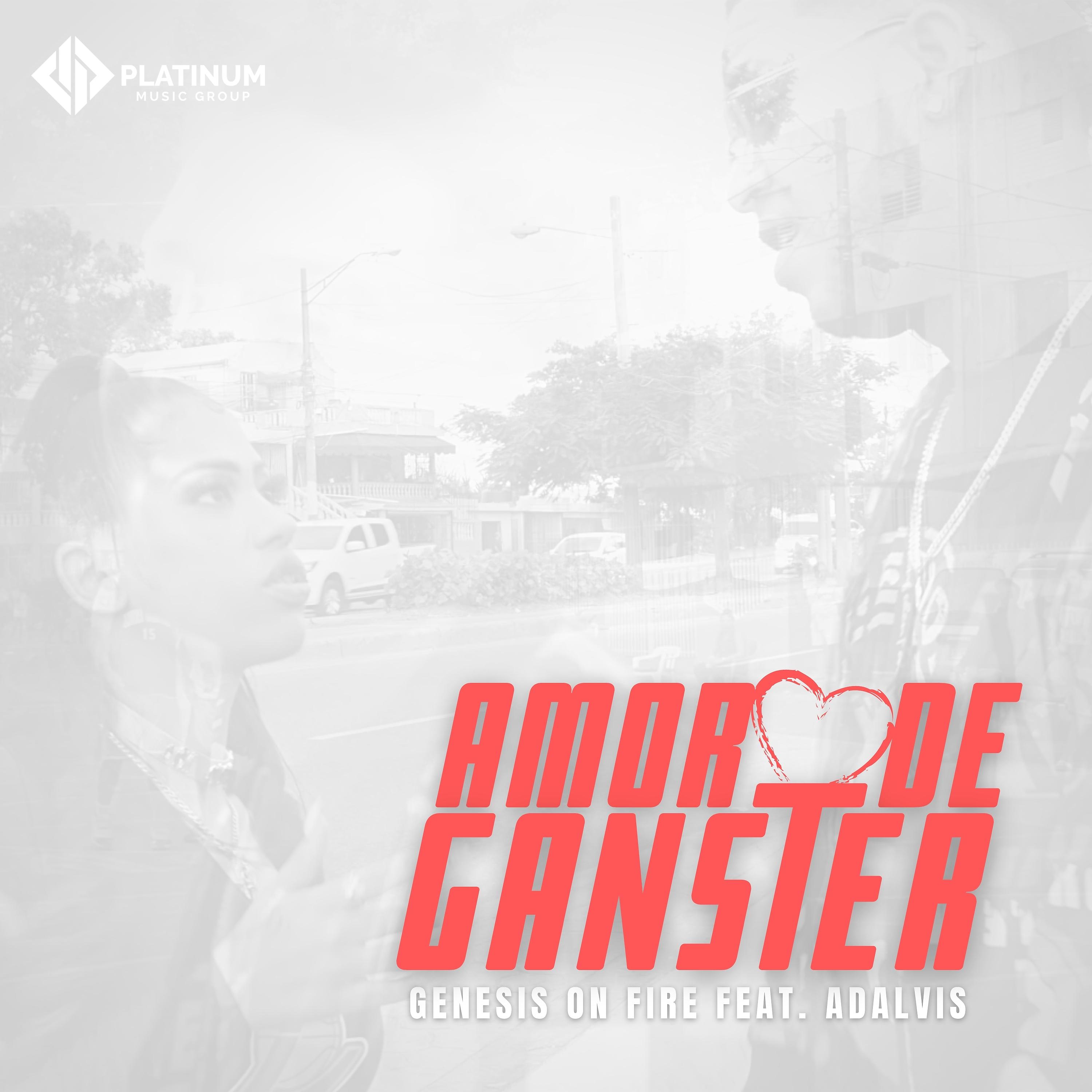Постер альбома Amor de Ganster