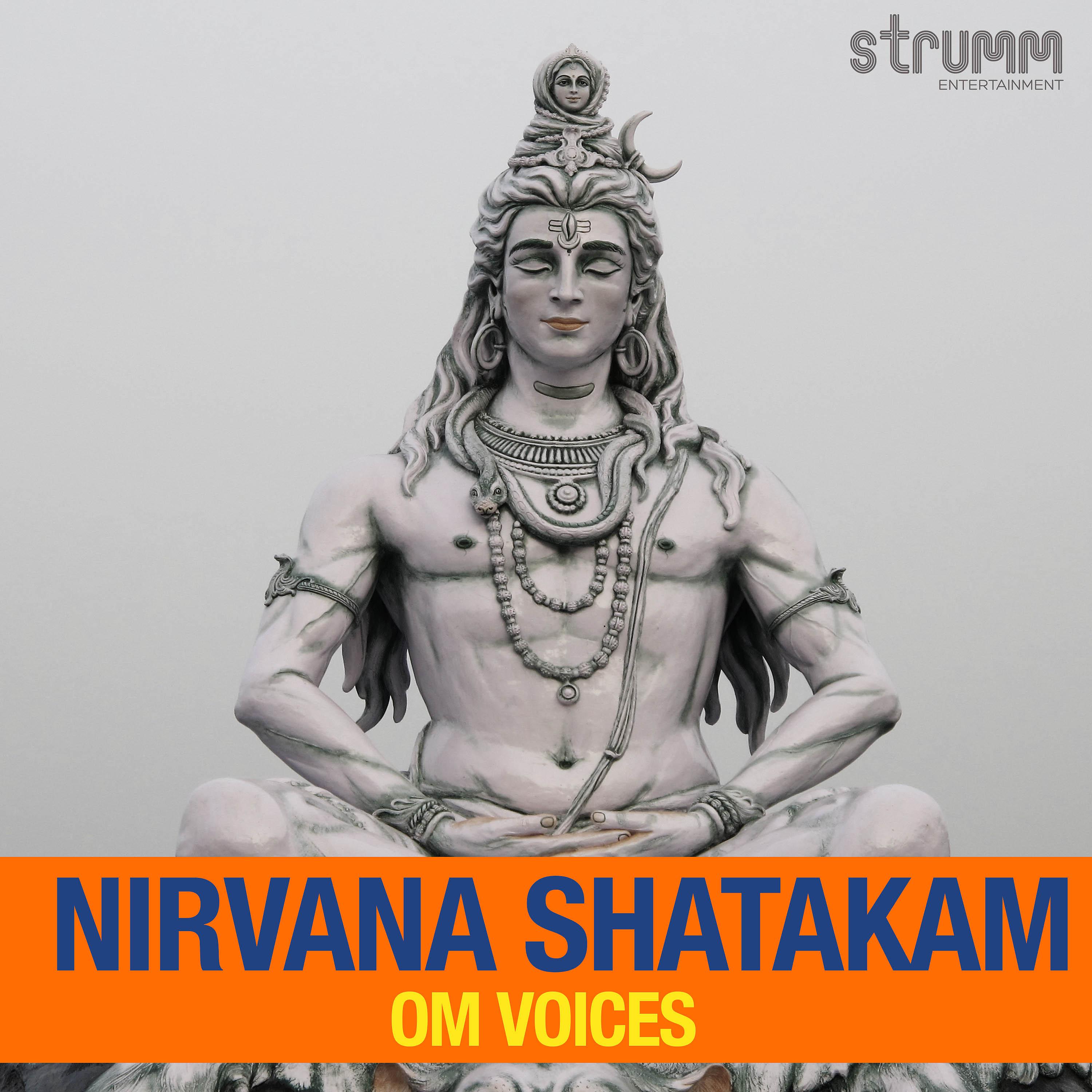 Постер альбома Nirvana Shatakam