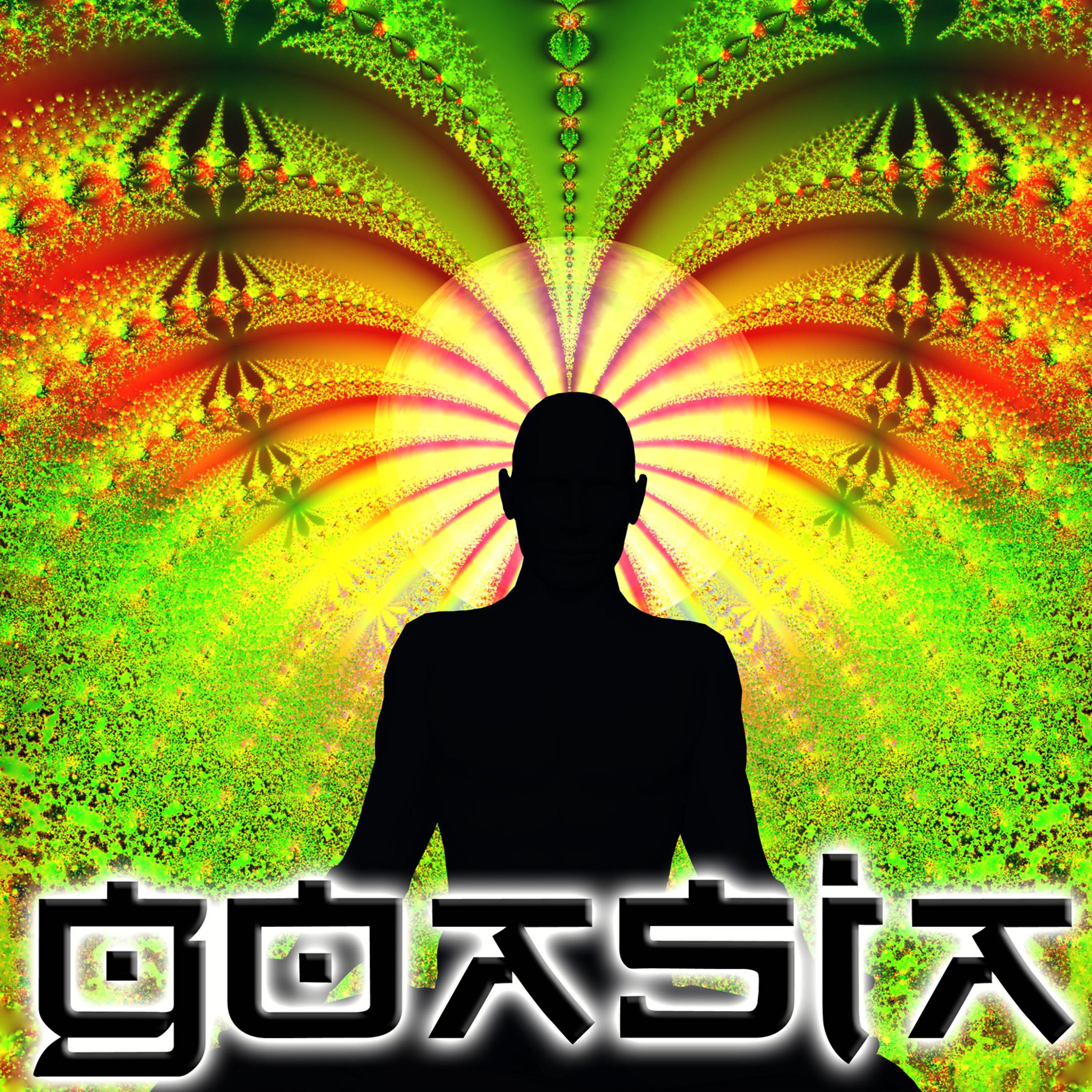 Постер альбома Goasia