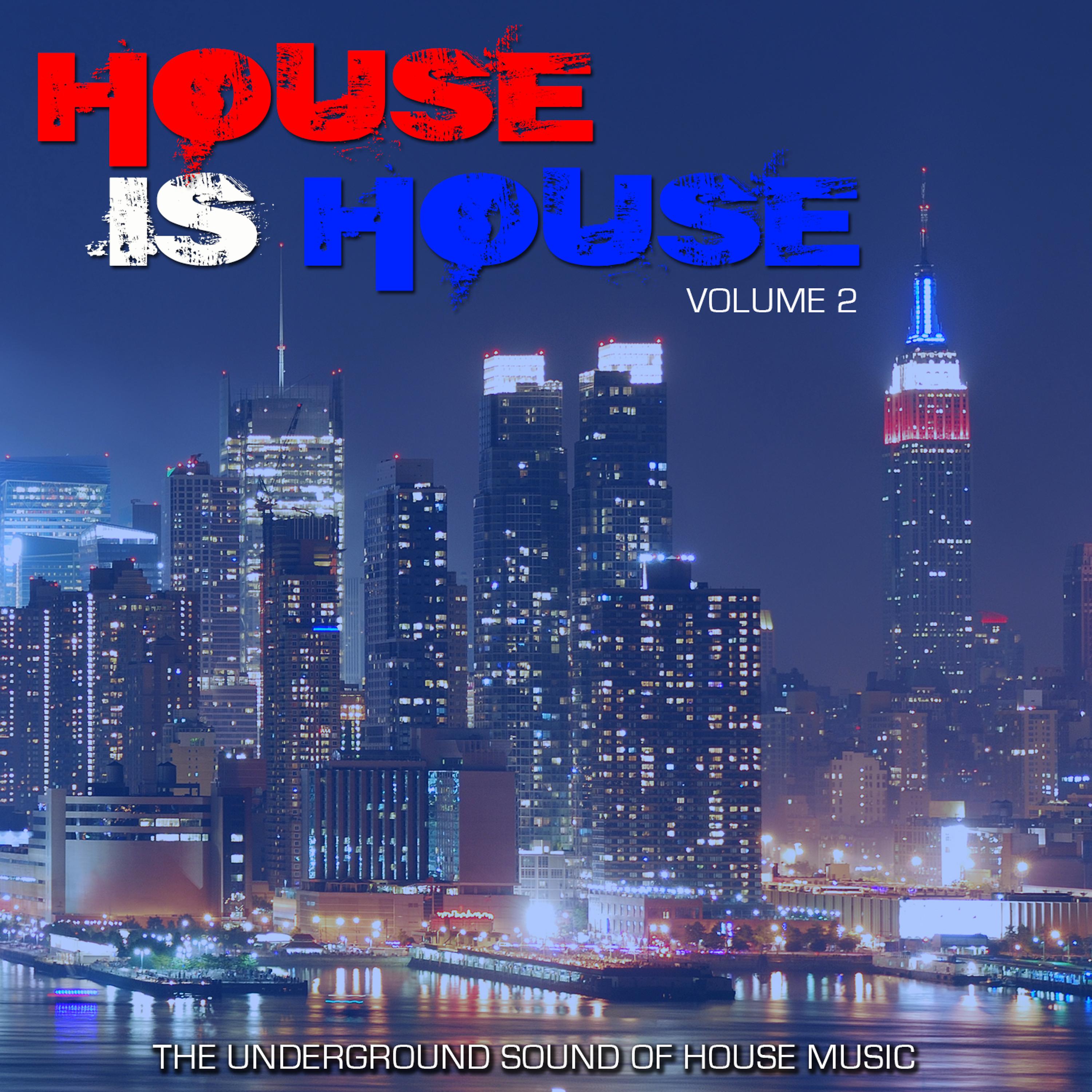 Постер альбома House Is House Volume 2