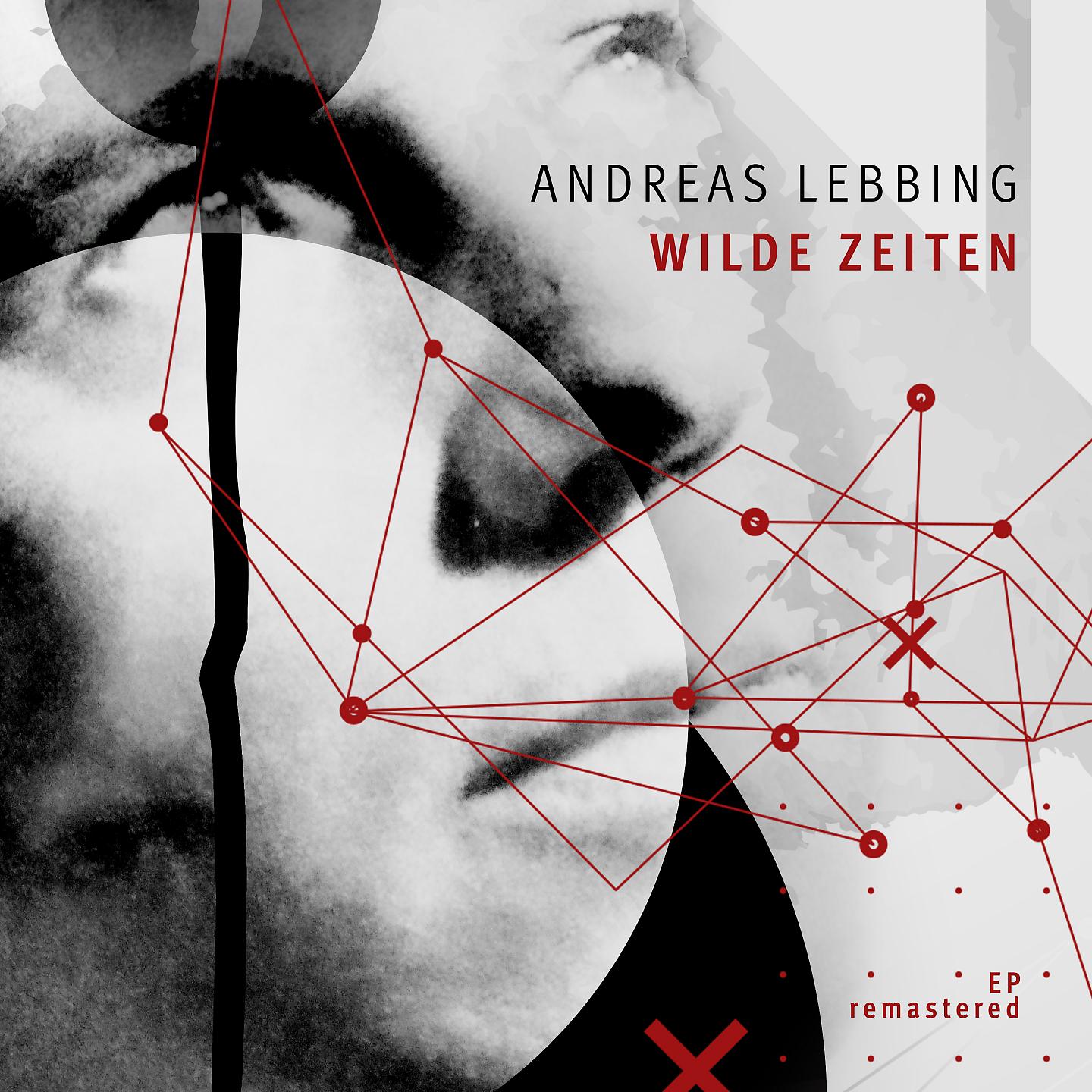 Постер альбома Wilde Zeiten