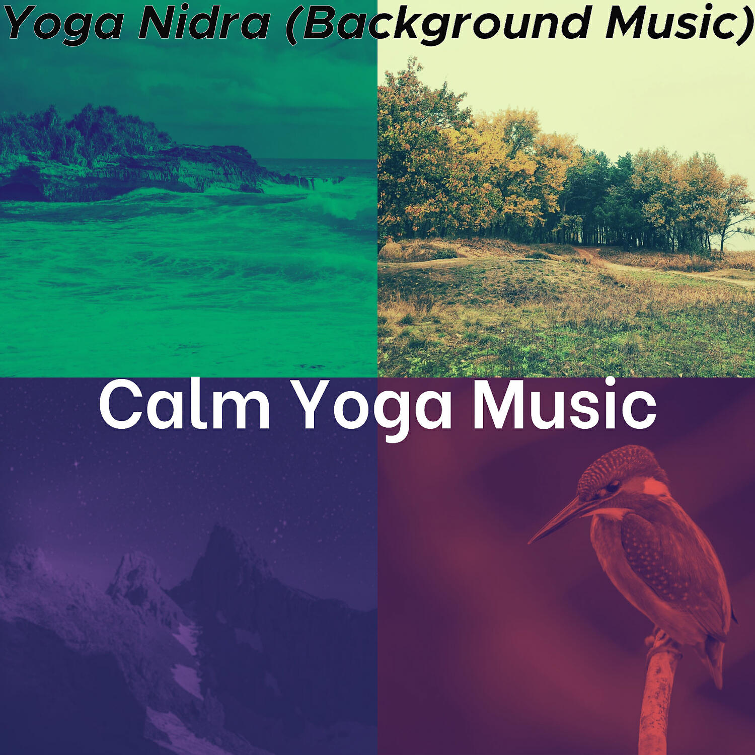 Calm Yoga Music - Paradise Like (Yoga)