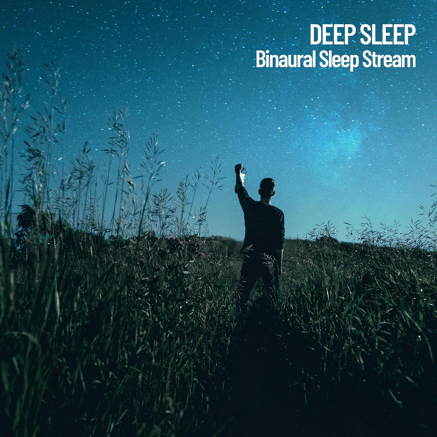 Постер альбома Deep Sleep: Binaural Sleep Stream