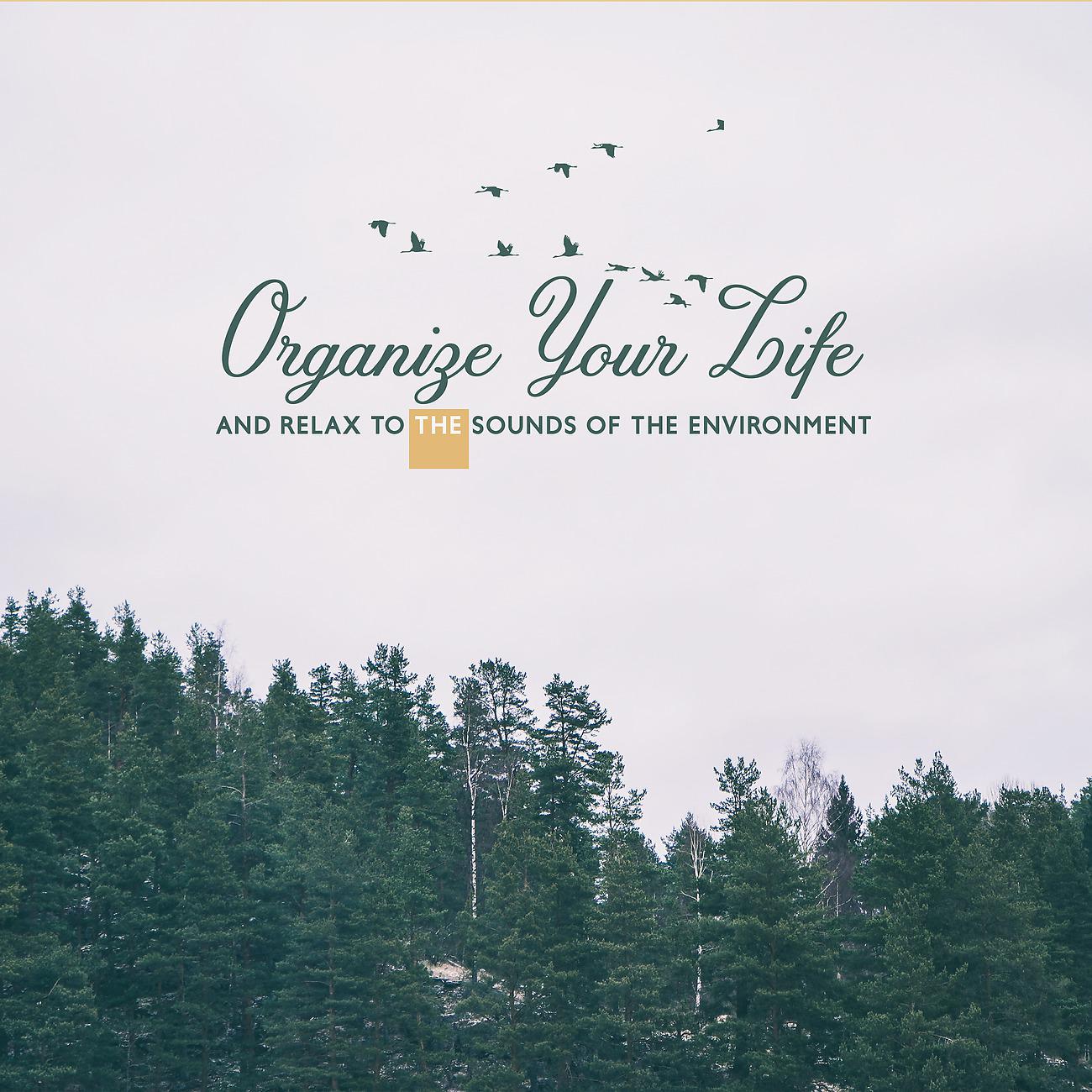 Постер альбома Organize Your Life and Relax to the Sounds of the Environment (Meditation, Relief, Calm Music, Calmness)