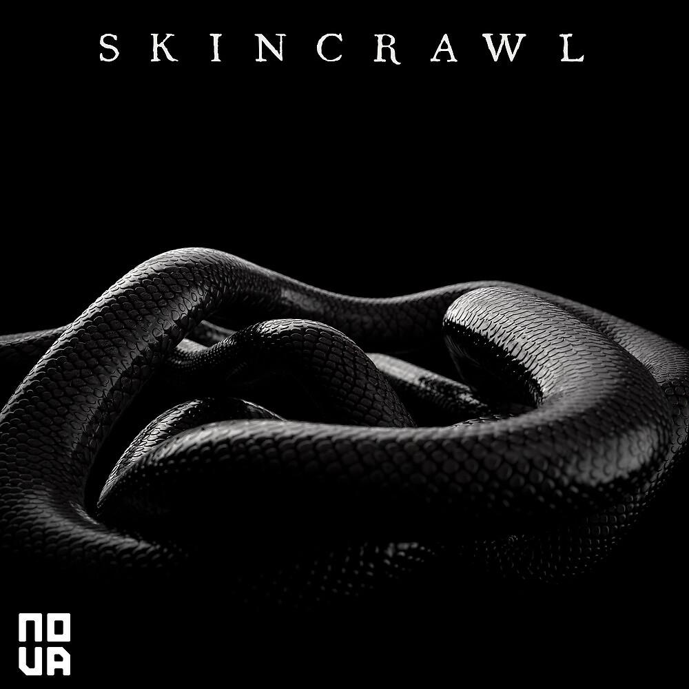 Постер альбома Skincrawl
