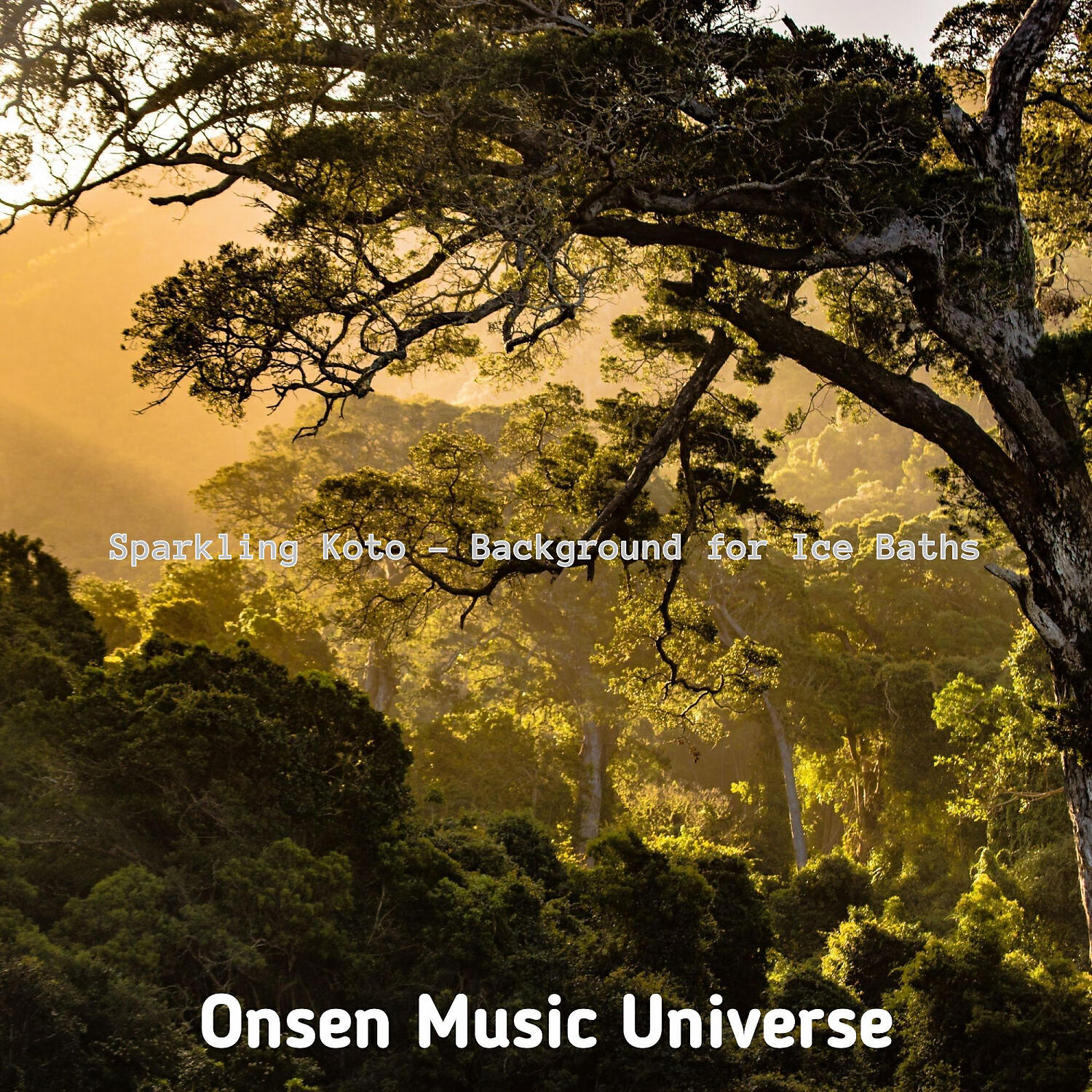 Onsen Music Universe - Easy Shakuhachi and Koto - Vibe for Mineral Baths