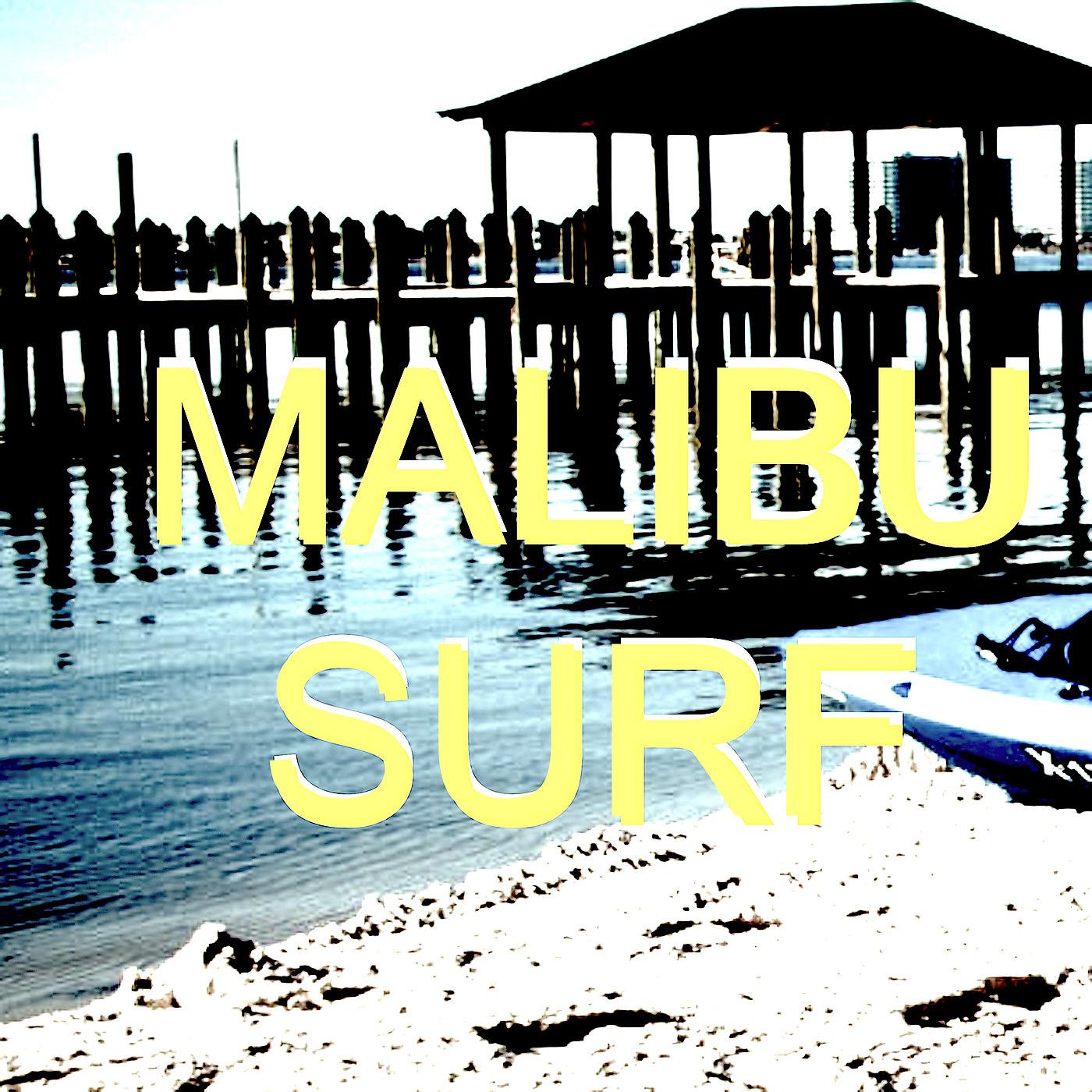 Постер альбома Malibu Surf
