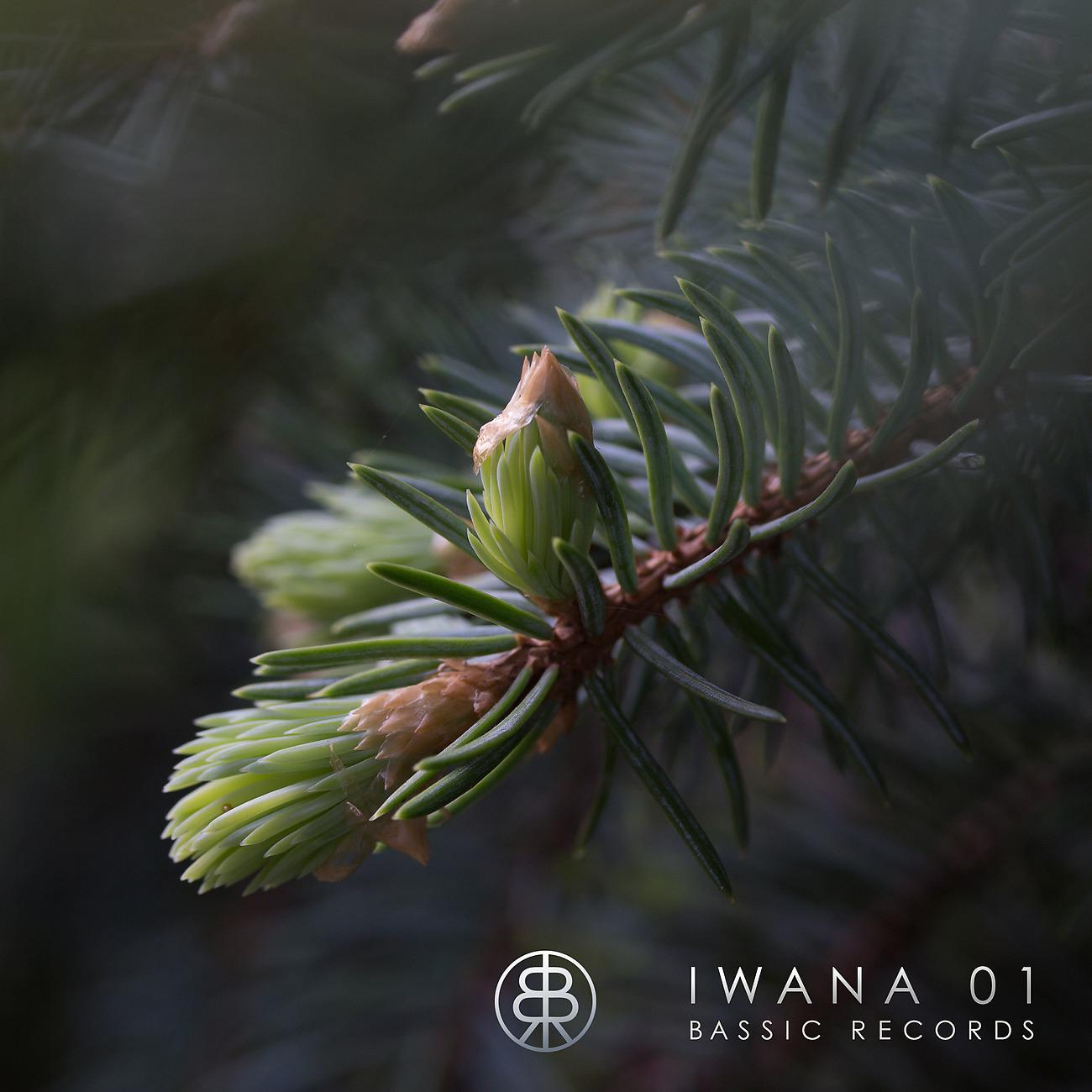 Постер альбома Iwana 01