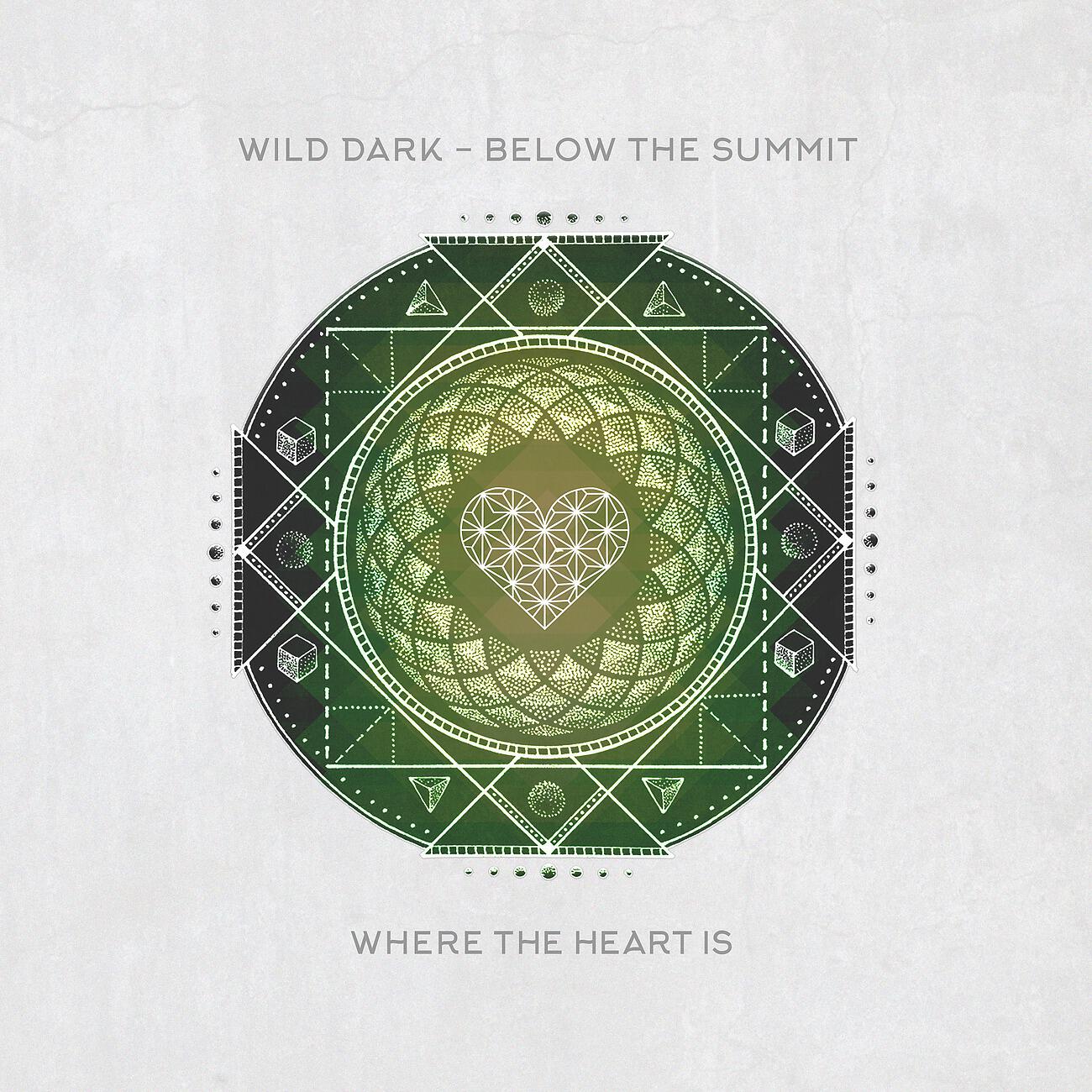 Wild Dark - Below The Summit (DSF Remix)