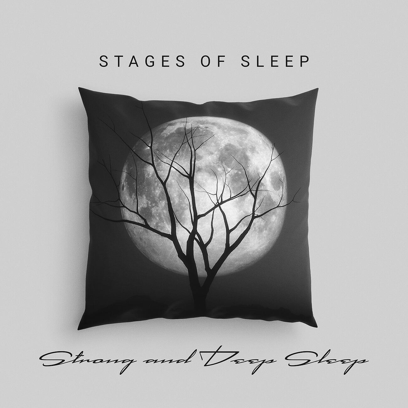 Deep Sleep Music Academy - Windy Weather Music