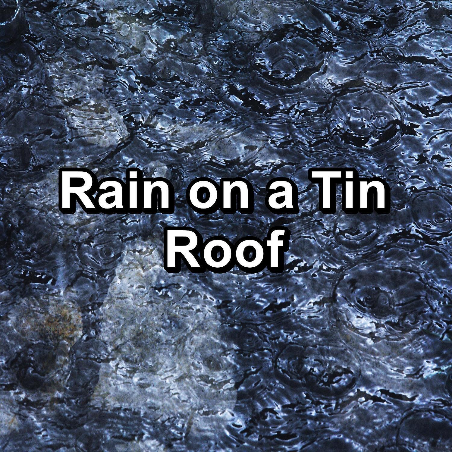 Sleep Tribe - Cozy Rain To Help with Insomnia To Repeat for 10 Hours