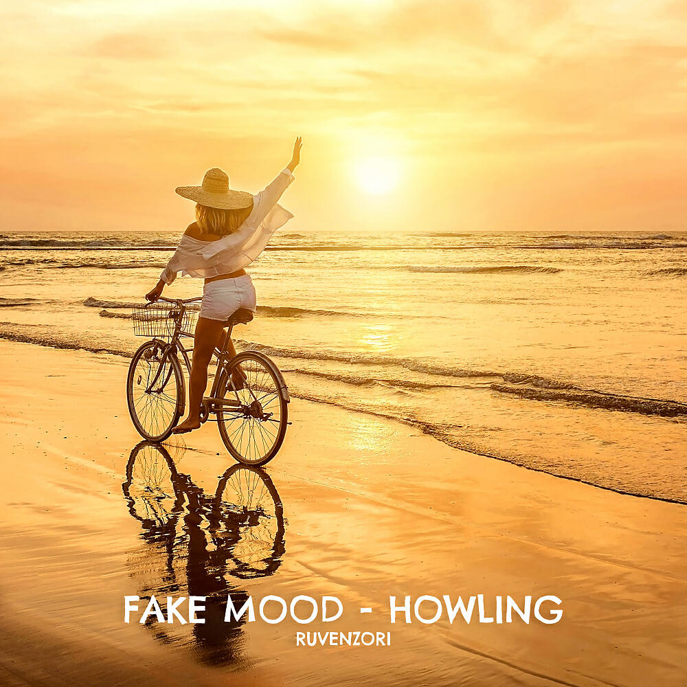 Fake Mood - Sun Shards (Original Mix)