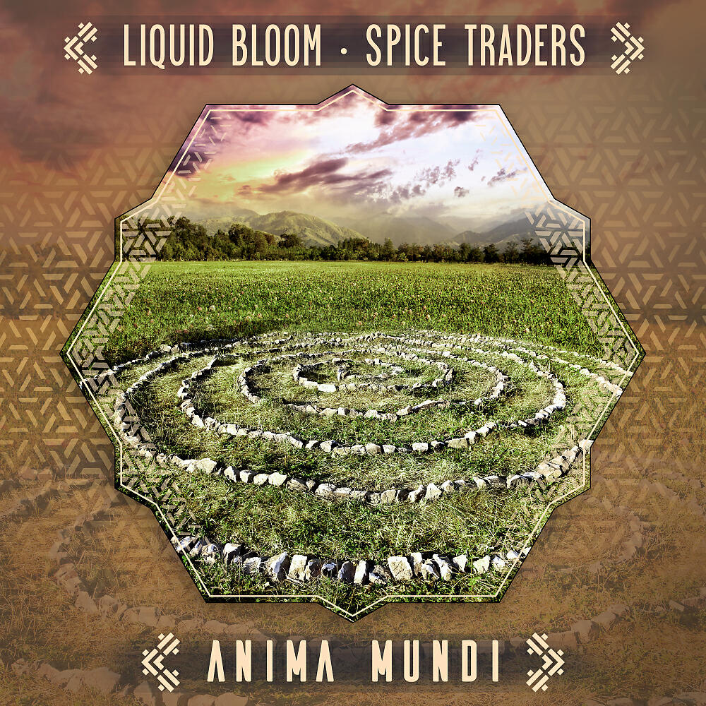 Liquid Bloom - Anima Mundi (Drumspyder Remix)