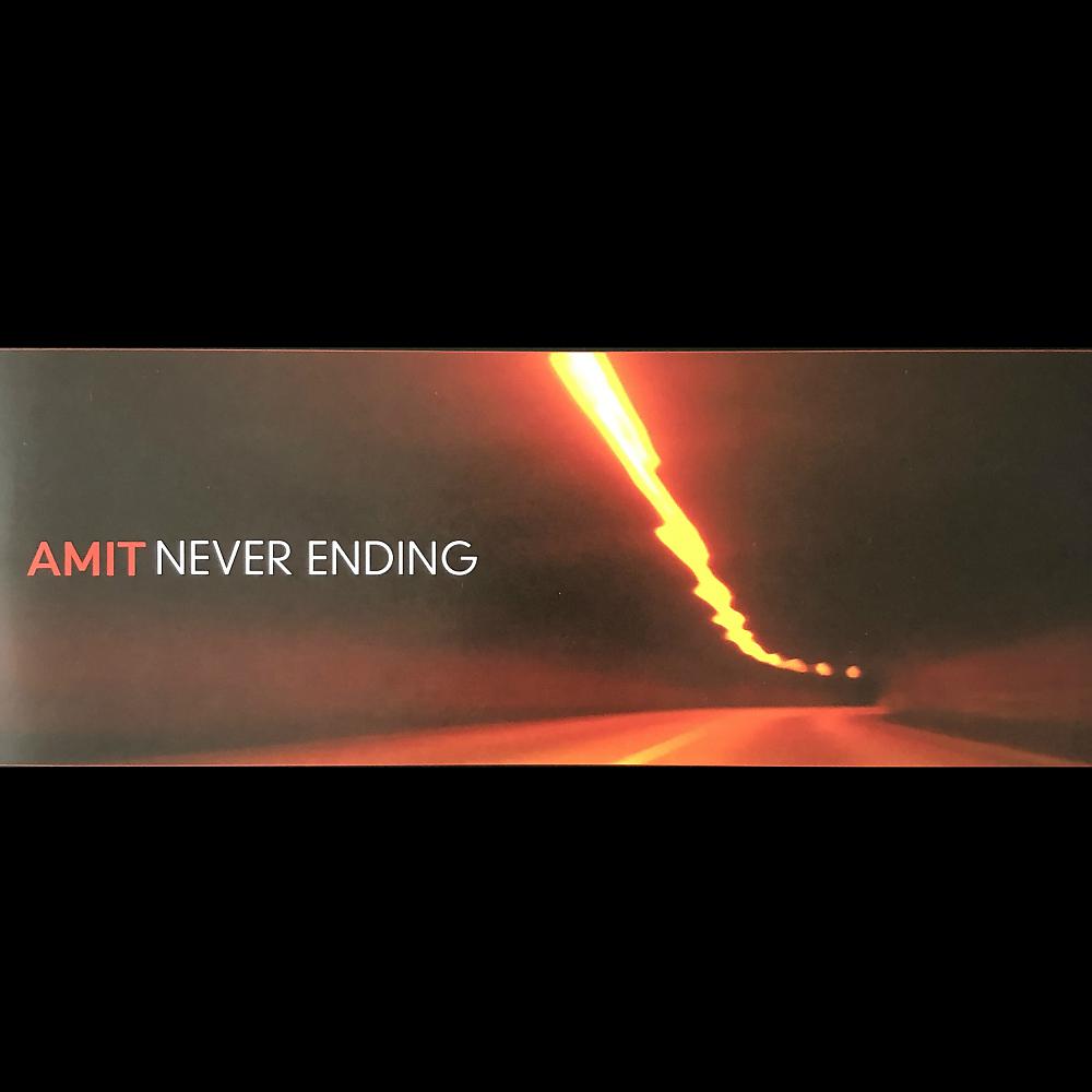 Постер альбома Never Ending (2019 Reissue)