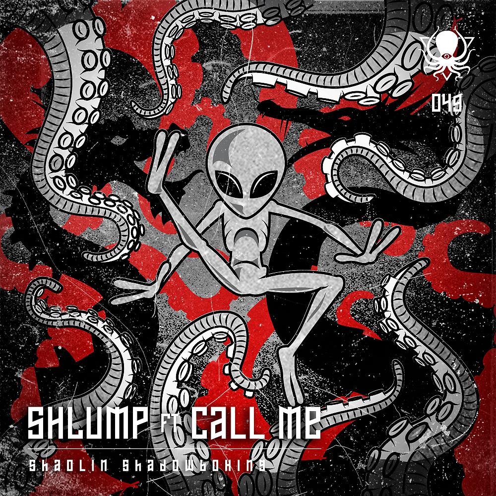 Постер альбома Shaolin Shadowboxing