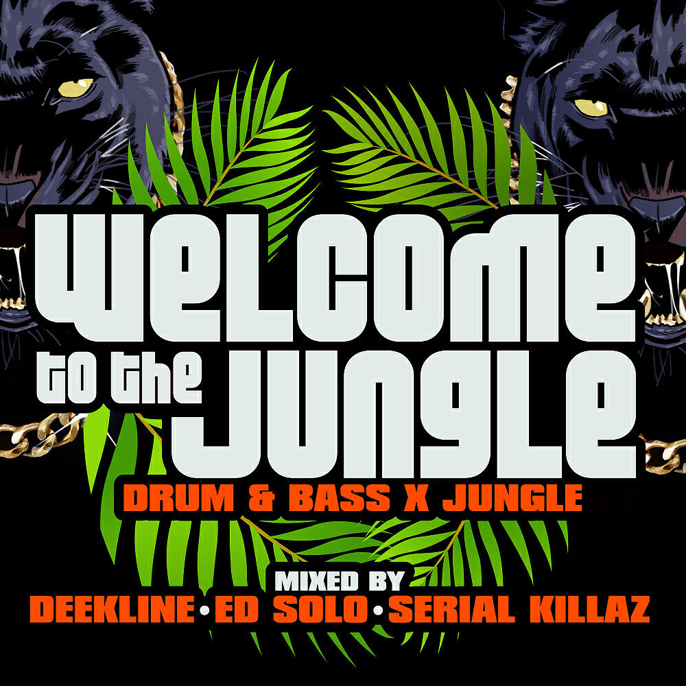 Chopstick Dubplate - Badboy Patrol (Serial Killaz Remix)