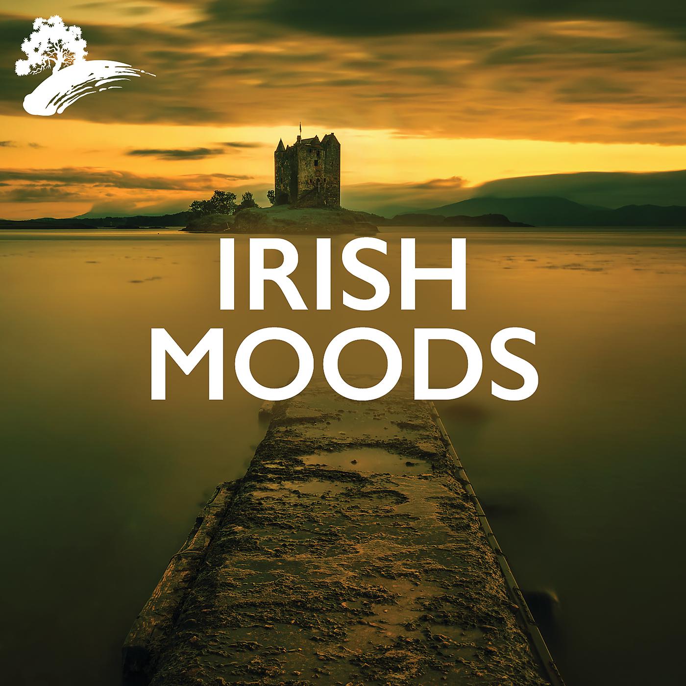 Постер альбома Irish Moods